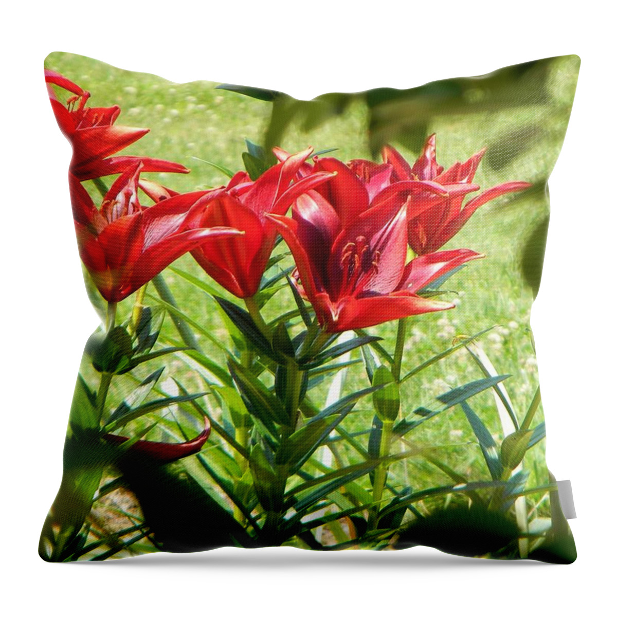 Flowers Throw Pillow featuring the photograph A Burst of Red by Jean Goodwin Brooks