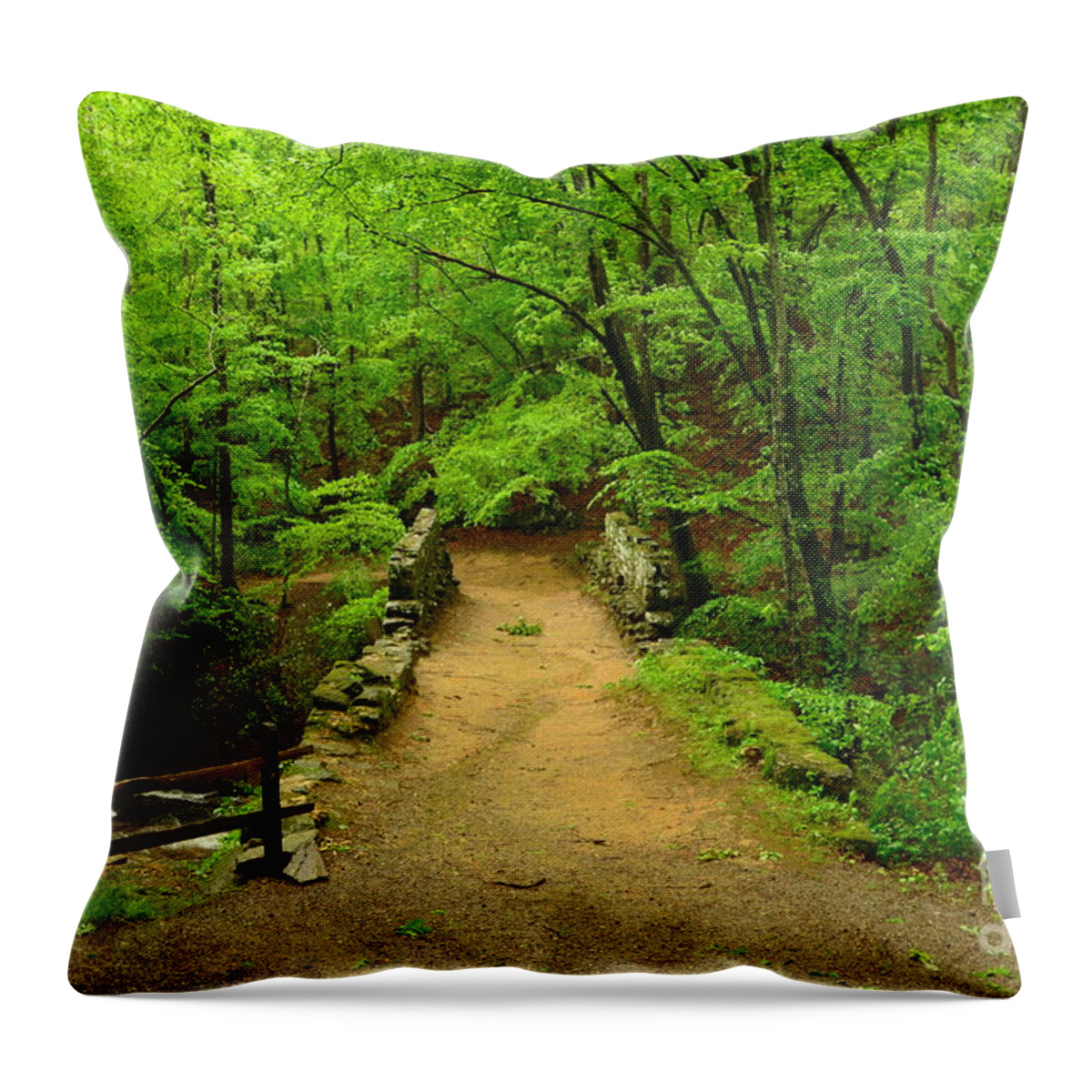 Green Throw Pillow featuring the photograph Century Old Stone Bridge by Bob Sample
