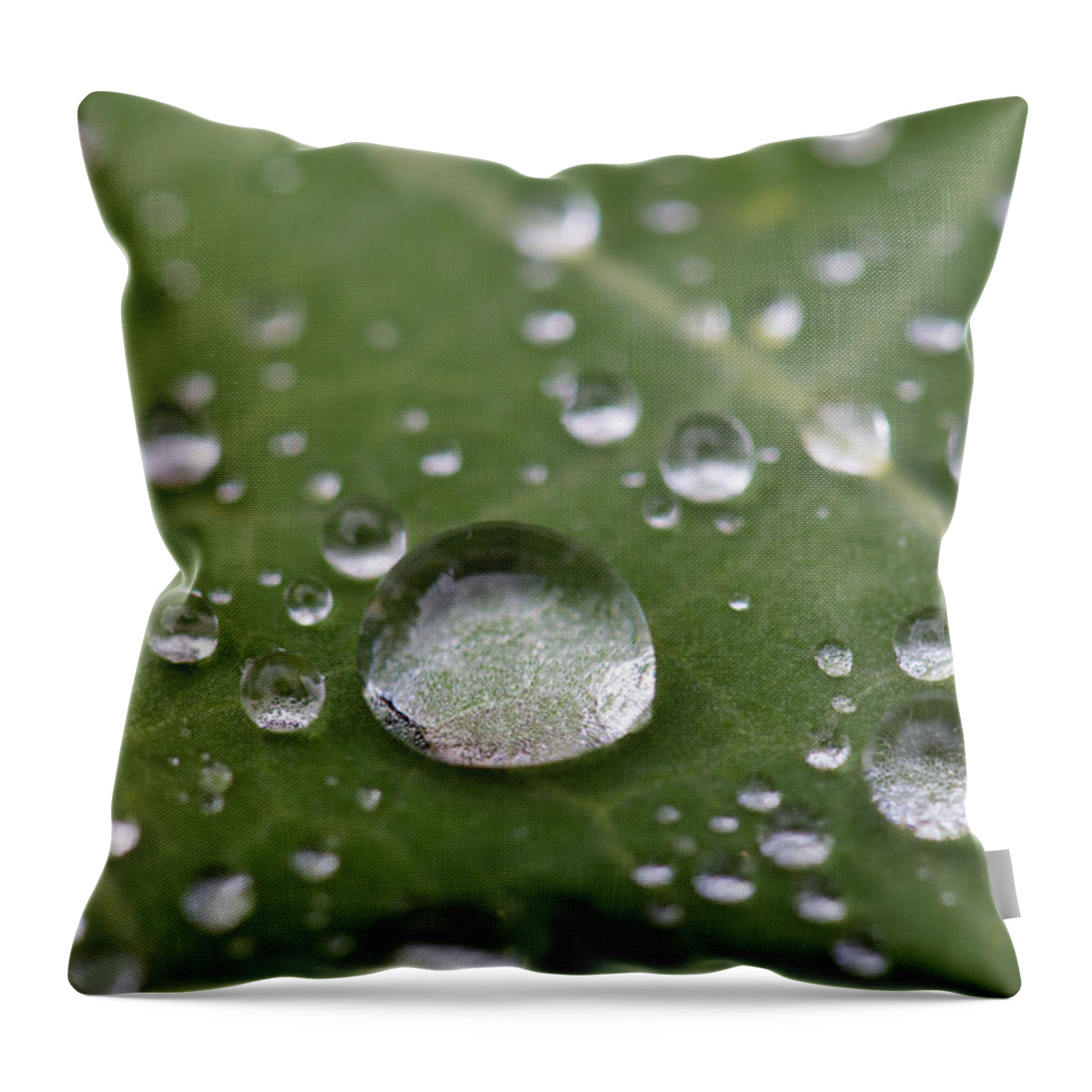 Macro Throw Pillow featuring the photograph A city of water drops by Matt McDonald