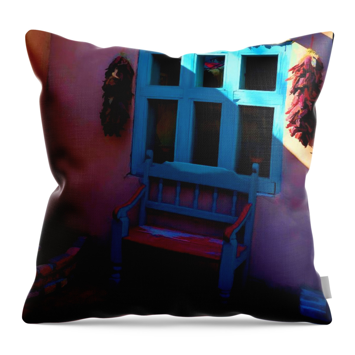 Southwestern Throw Pillow featuring the photograph A Cool Place To Sit by Jan Amiss Photography
