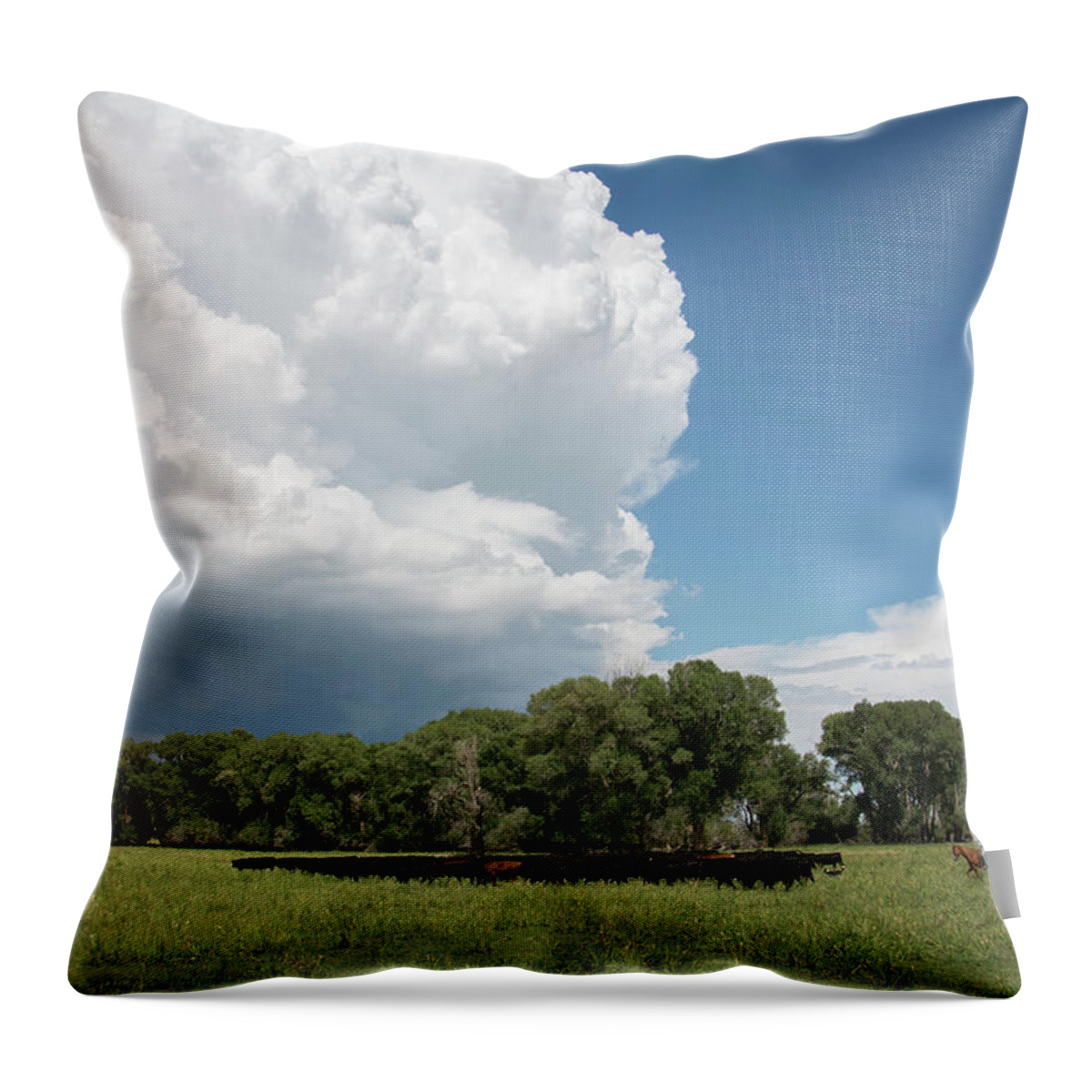 35-39 Years Throw Pillow featuring the photograph A Cowboy And Cowgirl Drive Cattle by Topher Donahue
