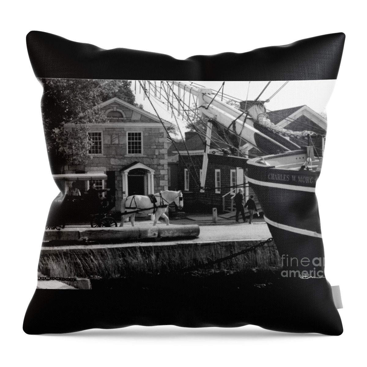 Connecticut Throw Pillow featuring the photograph A Day in the Life by Leslie M Browning