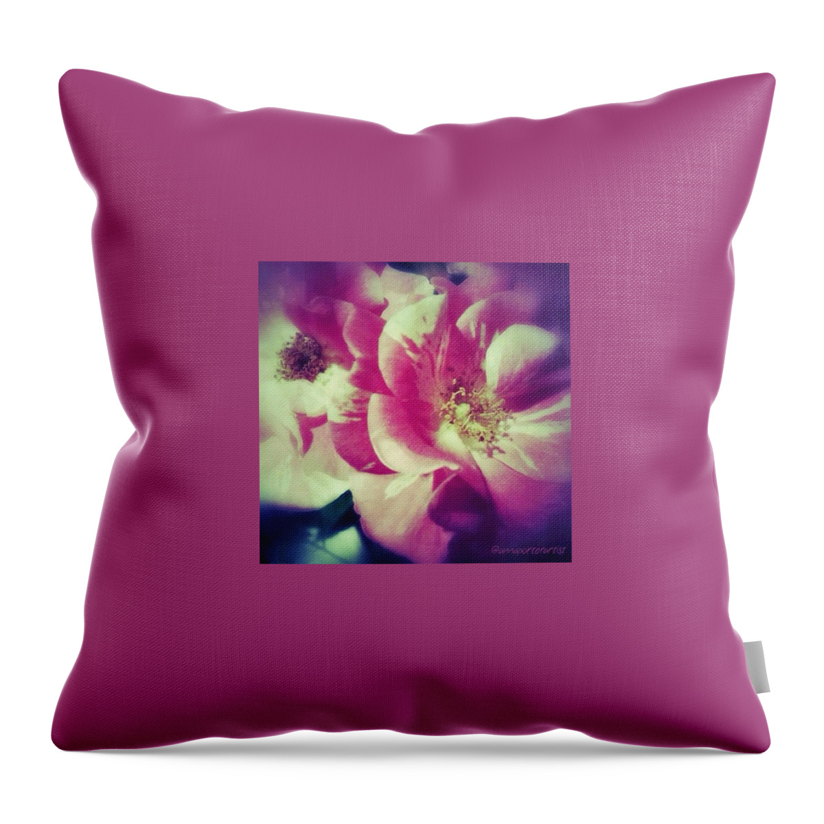 Annasgardens Throw Pillow featuring the photograph A Difference Of Opinion, Photo By by Anna Porter