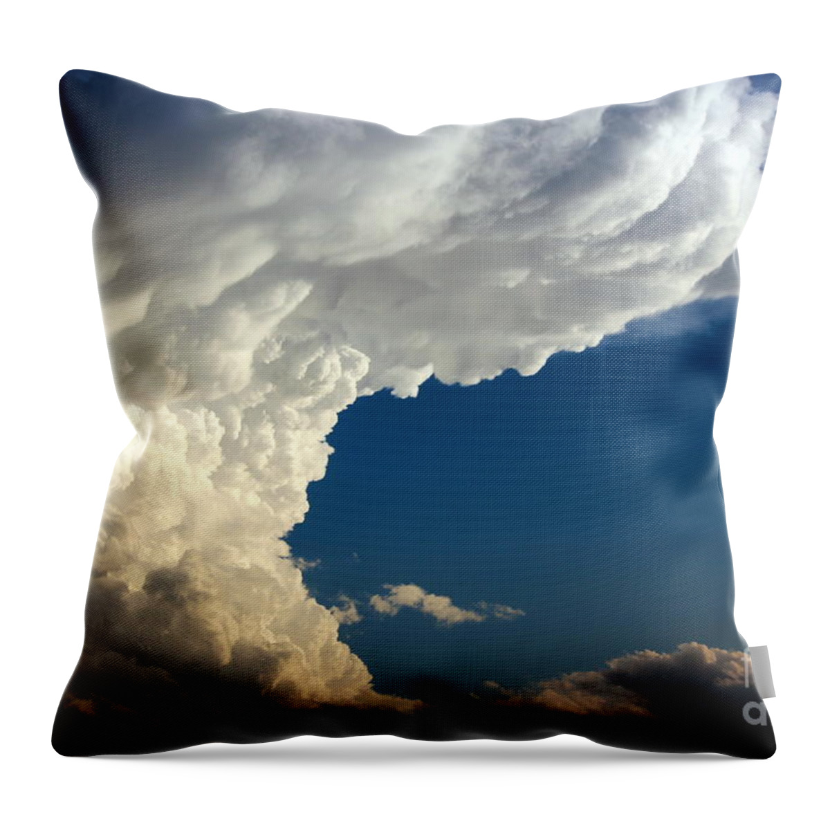 Wall Throw Pillow featuring the photograph A Face in the Clouds by Barbara Chichester