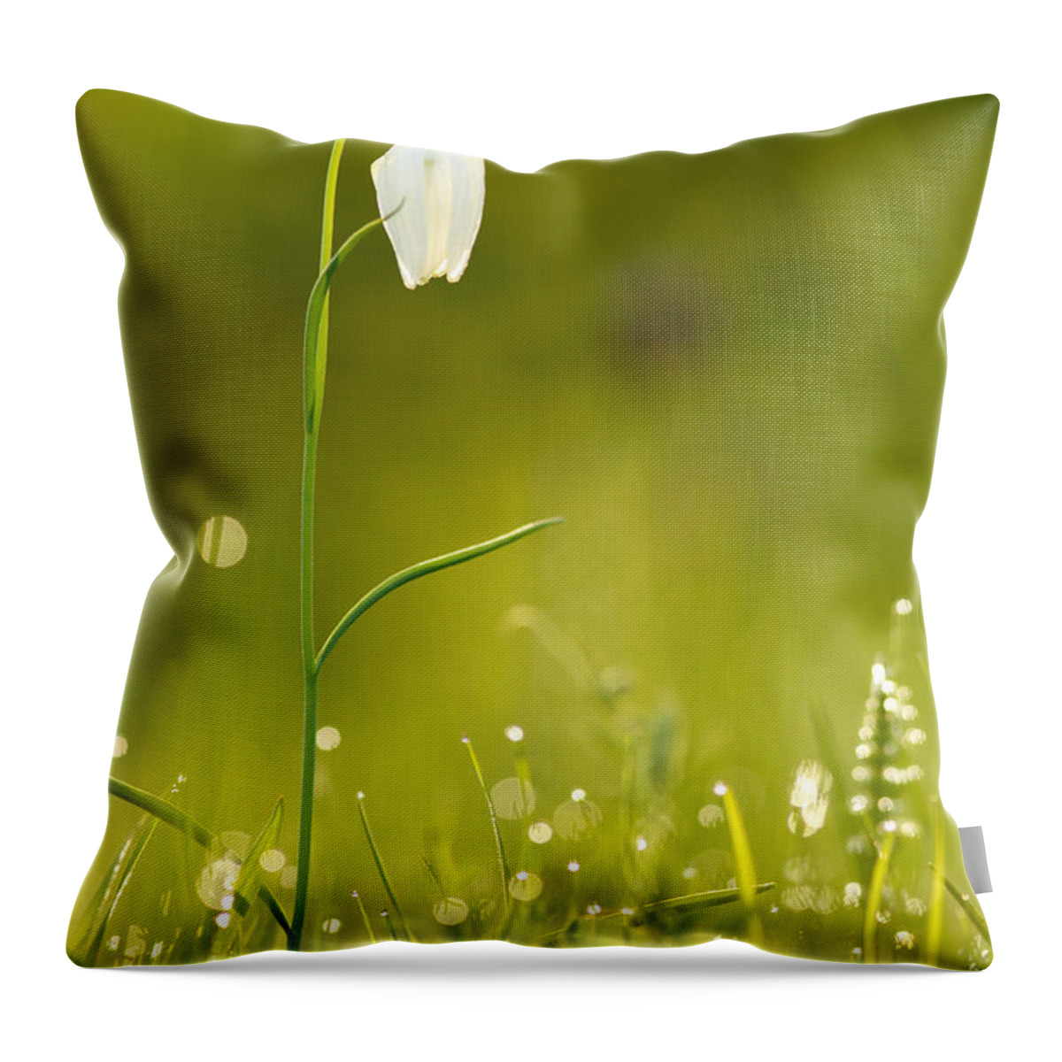 Bokeh Throw Pillow featuring the photograph A Fairies' Place III _Snake's head fritillary by Roeselien Raimond