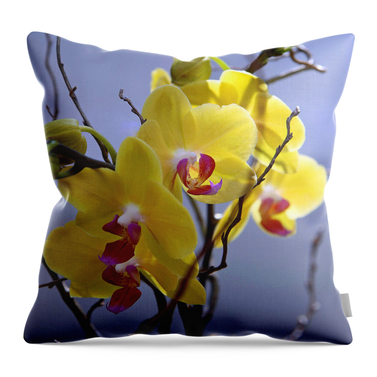Yellow Throw Pillow featuring the photograph A Family Of Orchids by Cora Wandel