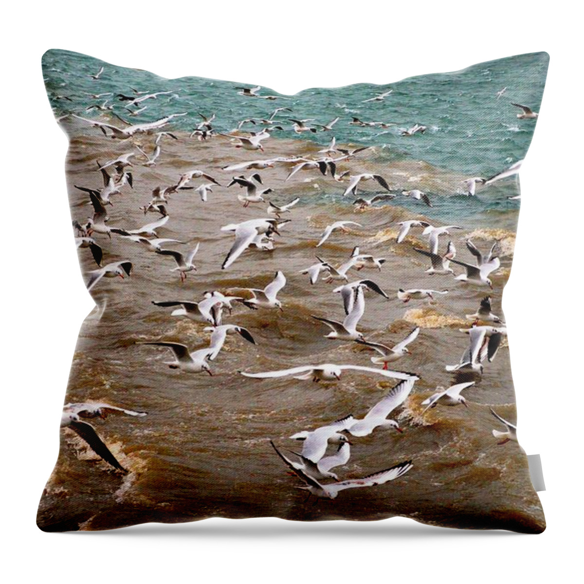 Seagull Throw Pillow featuring the photograph A flock of seagulls by Rumiana Nikolova