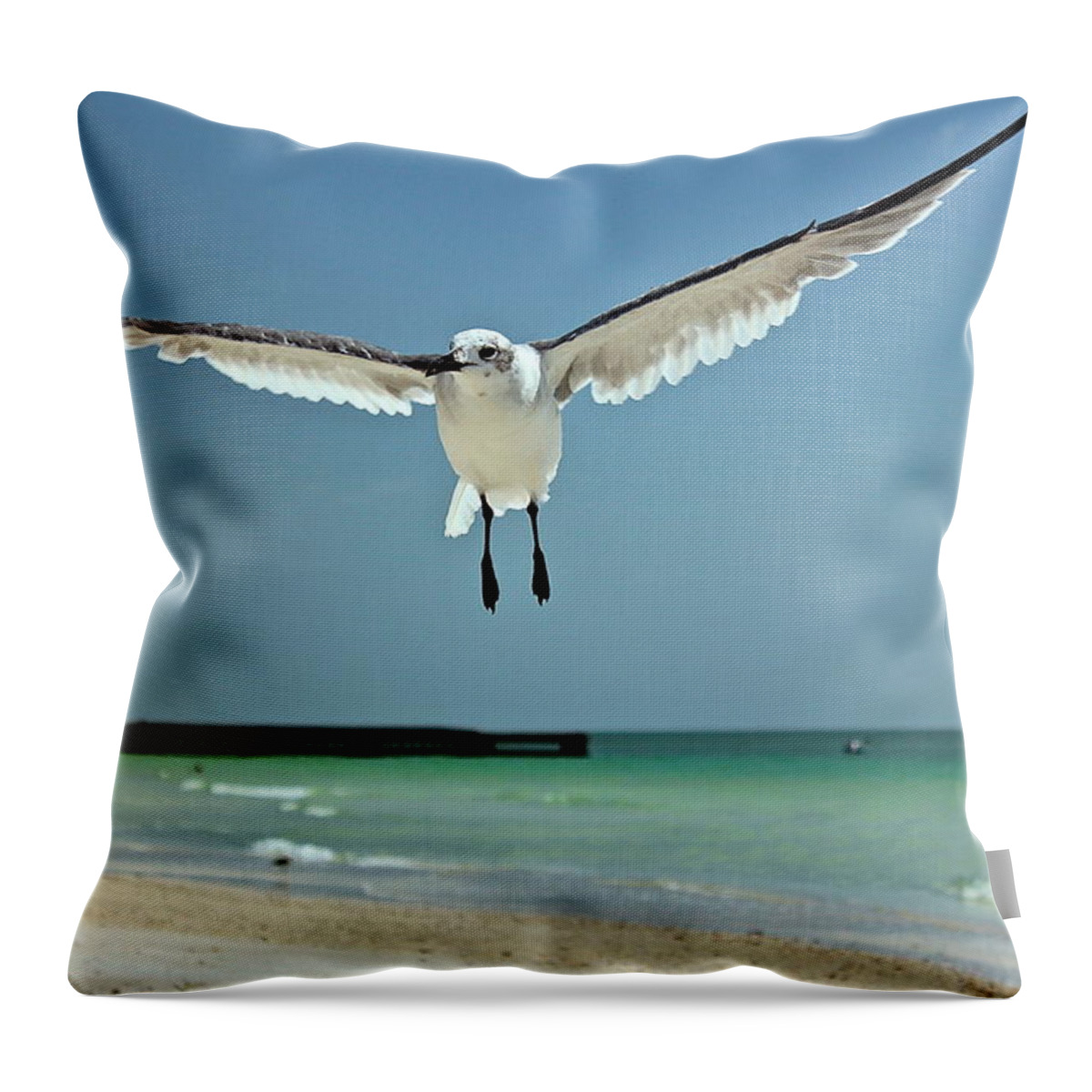 Seagull Throw Pillow featuring the photograph A Florida Gull by Amazing Jules