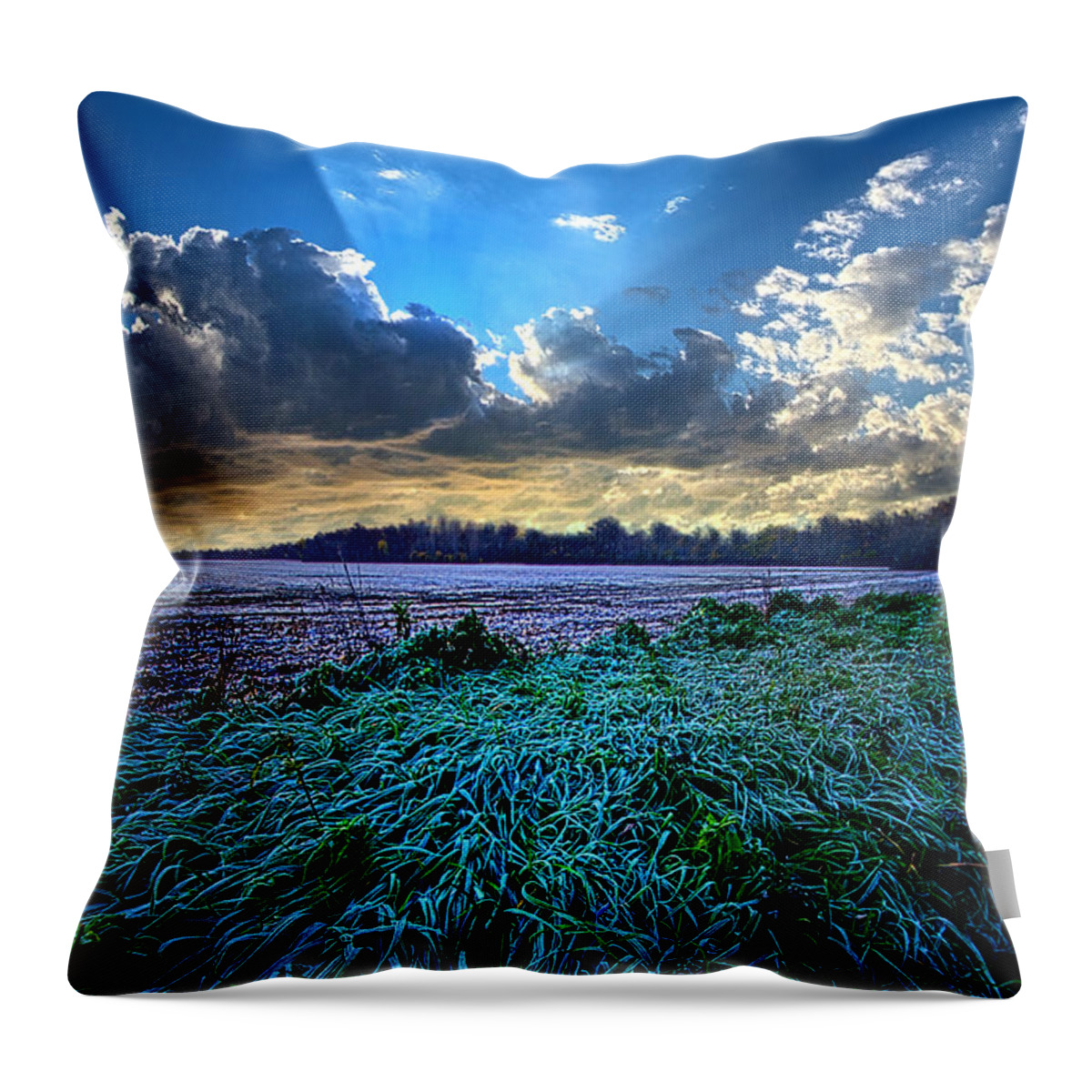  Frost Throw Pillow featuring the photograph A Frosty Morning by Phil Koch