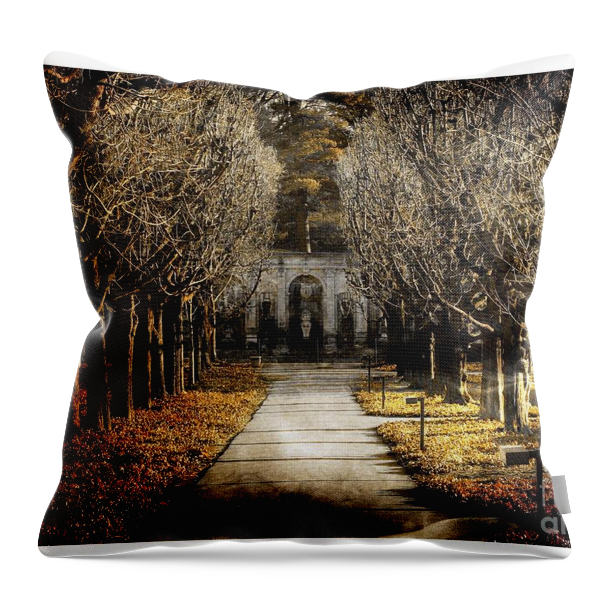 Marcia Lee Jones Throw Pillow featuring the photograph A Glamorous Era by Marcia Lee Jones