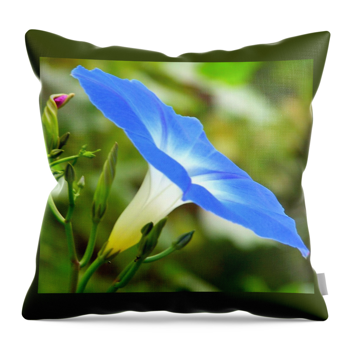 Flower Throw Pillow featuring the photograph A Glimpse of His Glory by Kathleen Luther