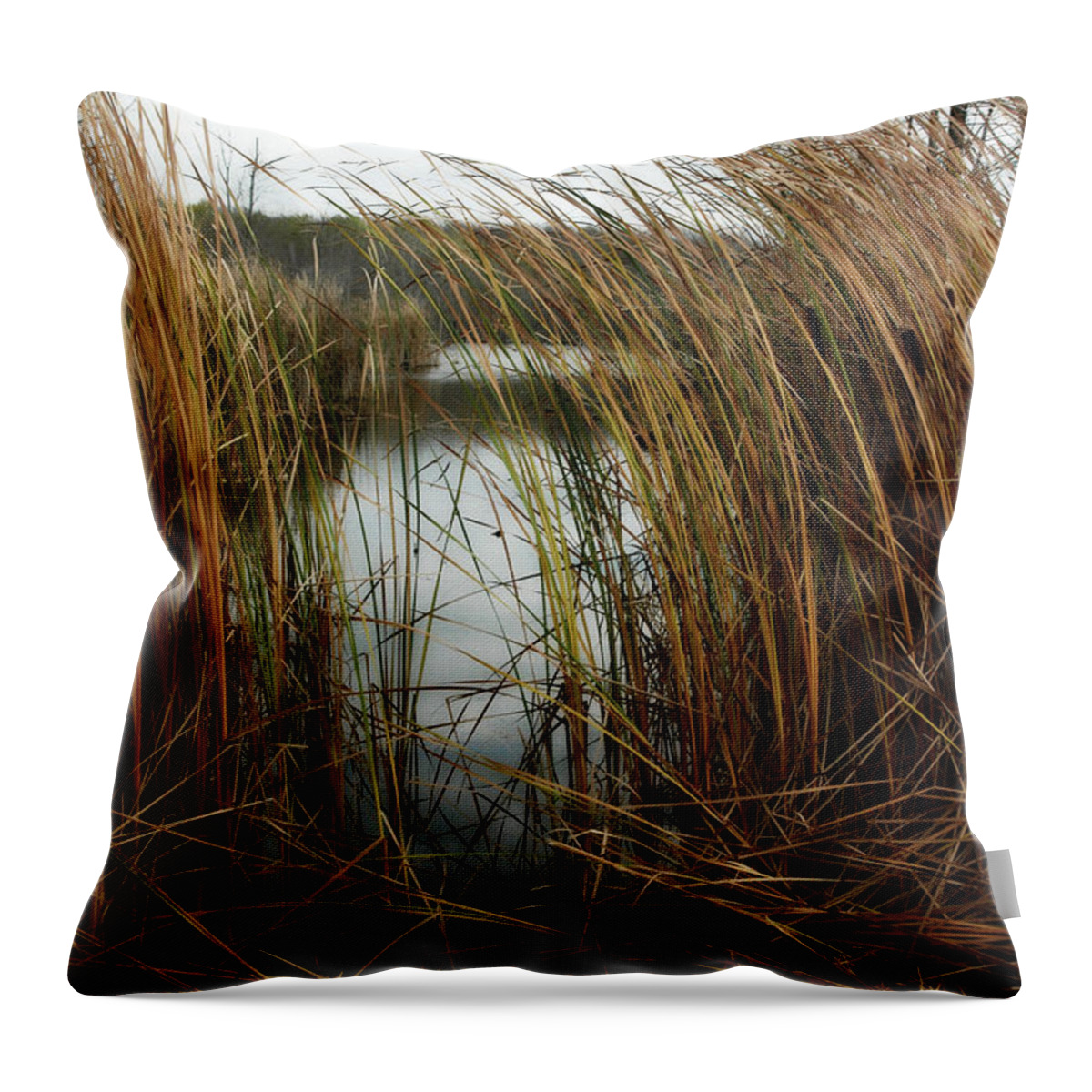 Reeds Throw Pillow featuring the photograph A Glimpse by Rhonda Barrett