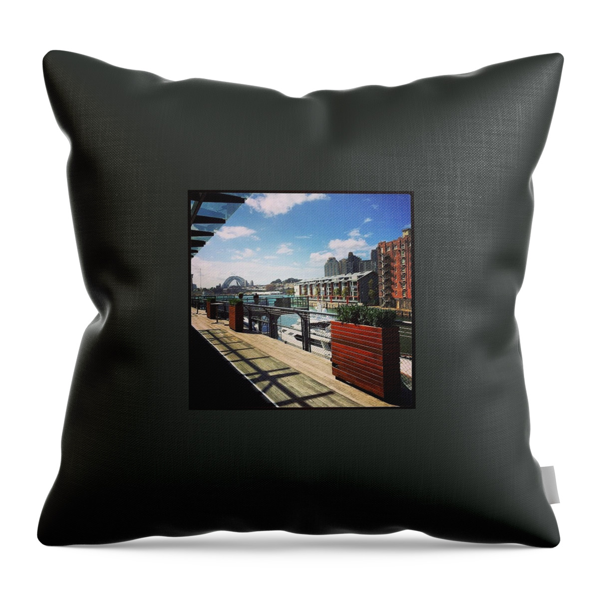 Totes Throw Pillow featuring the photograph A Great Place To Be Working by Paul Telling