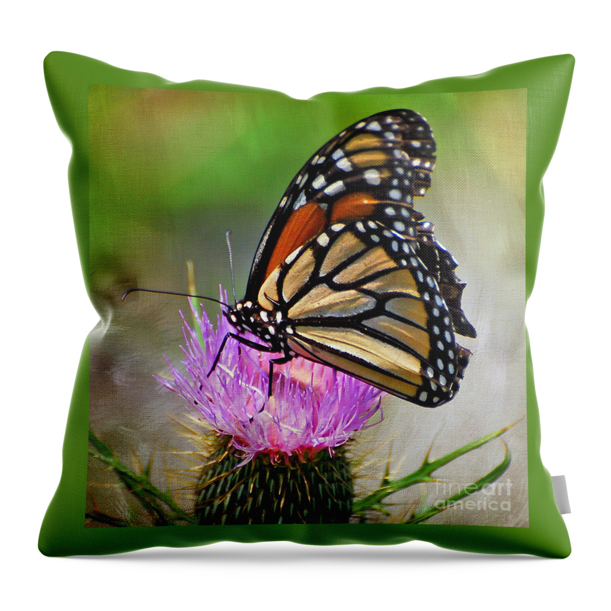 Monarch Butterfly Throw Pillow featuring the photograph A Harvest To The Eye by Kerri Farley