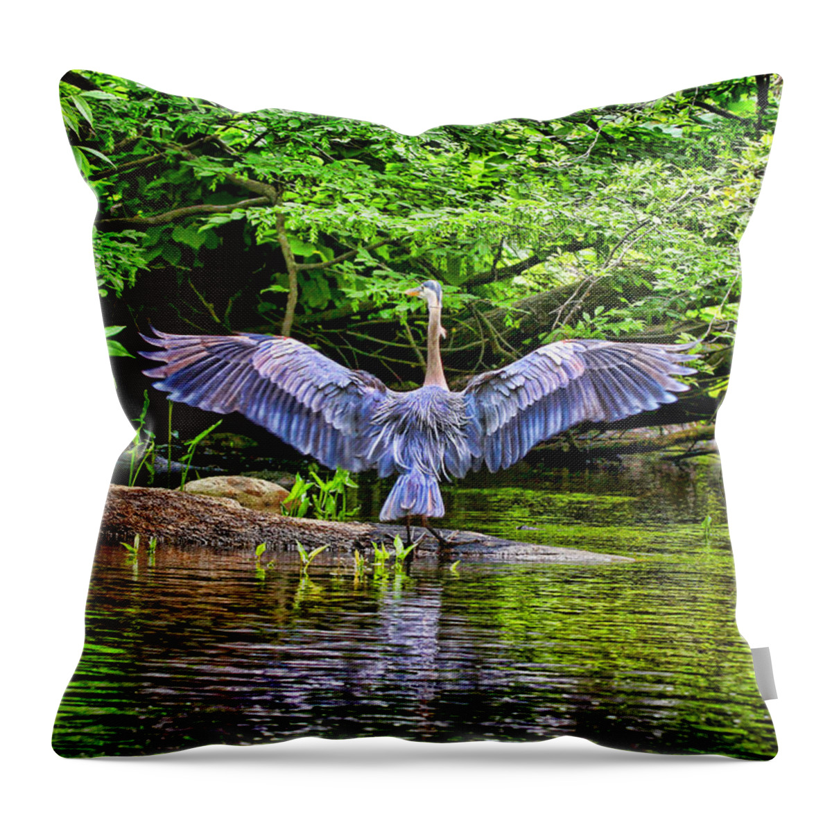 Birds Throw Pillow featuring the photograph A Heron Touches Down by Eleanor Abramson