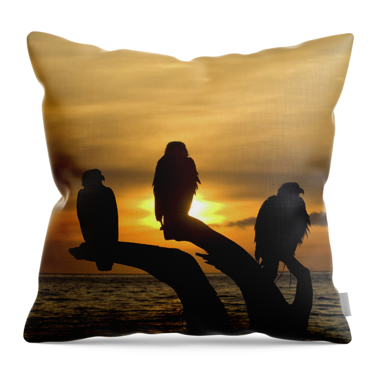 Alaska Throw Pillow featuring the photograph A Hiker Or Beachcomber Watches by Cary Anderson