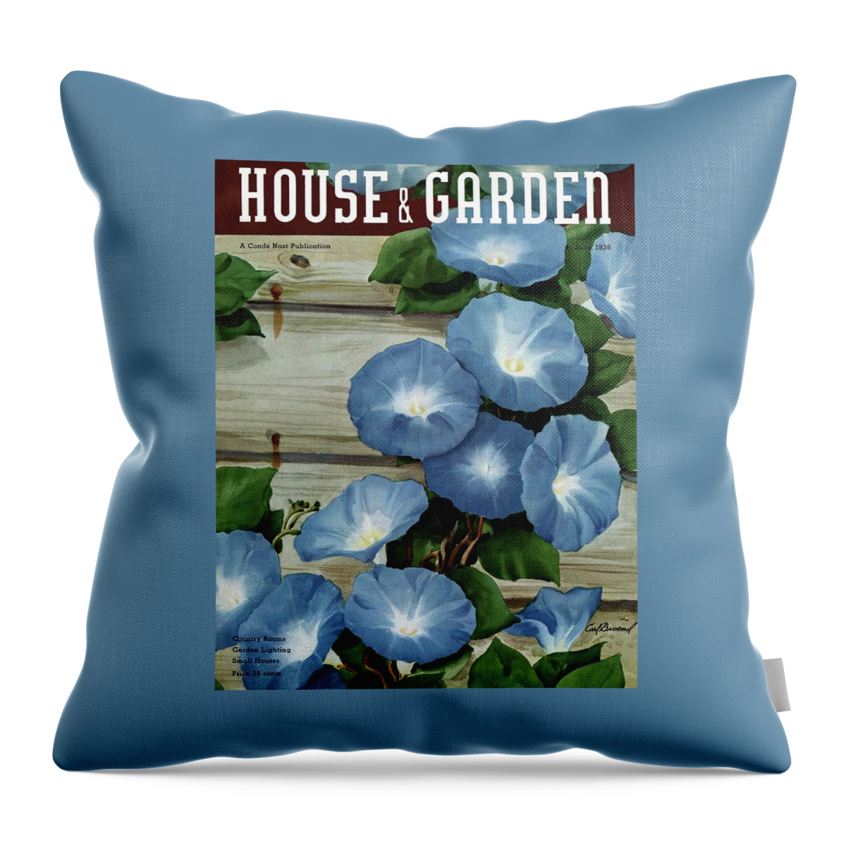 A House And Garden Cover Of Flowers Throw Pillow