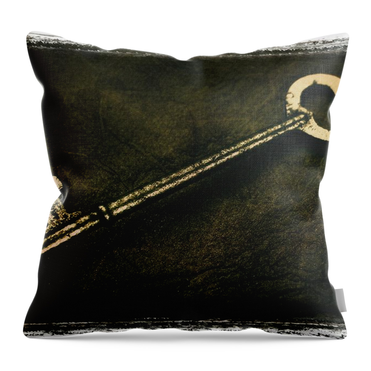 Admit Throw Pillow featuring the photograph A Key by Don Hammond