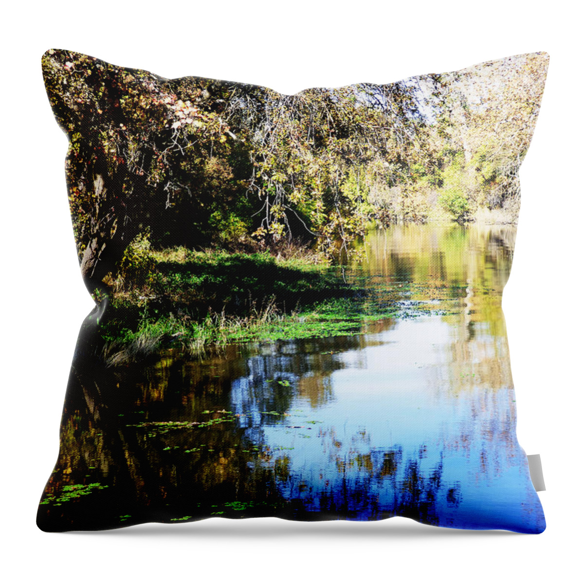 River Throw Pillow featuring the photograph A Lazy River by Pamela Patch