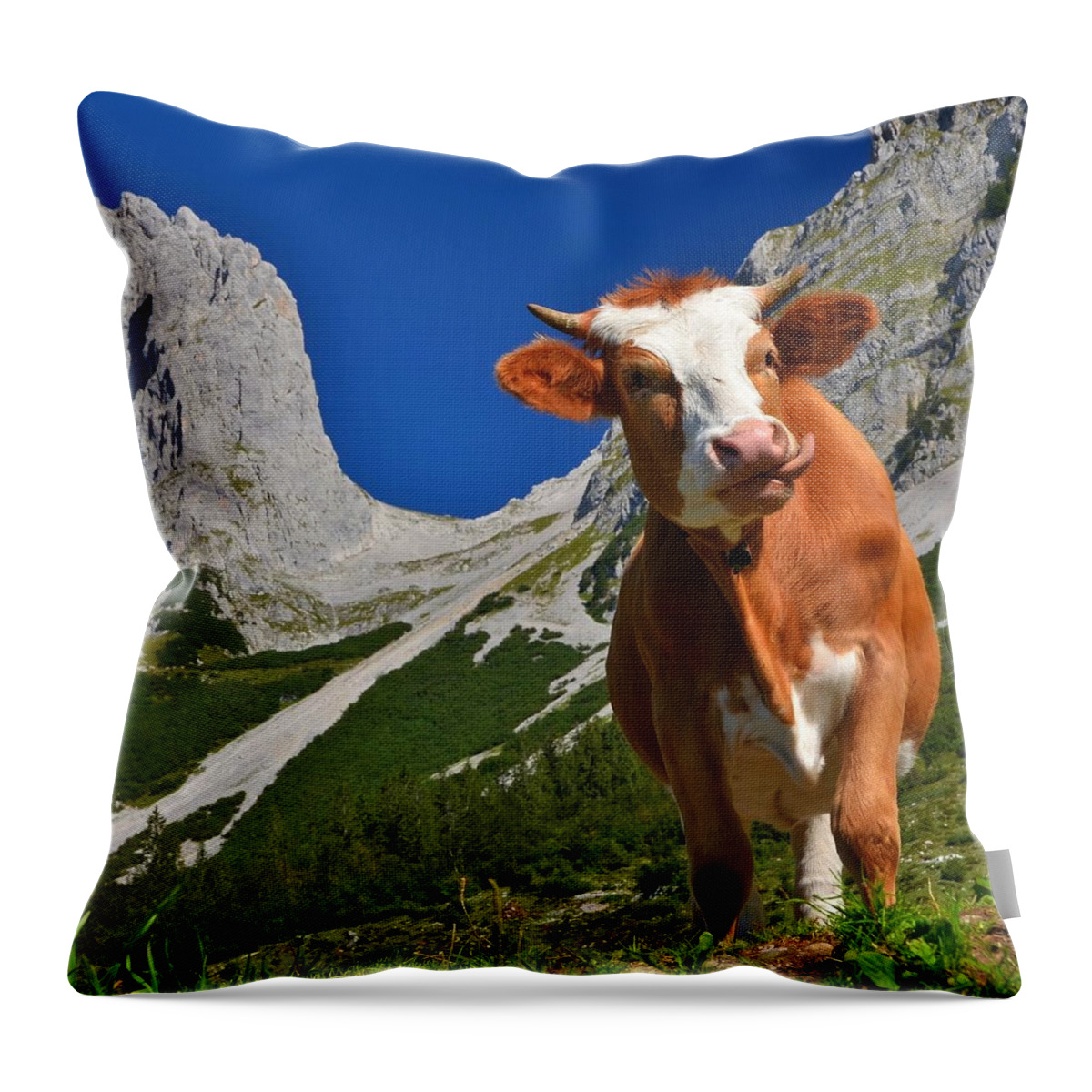 Curve Throw Pillow featuring the photograph A Leckers Platzerl Hob I Ma Do by Joei