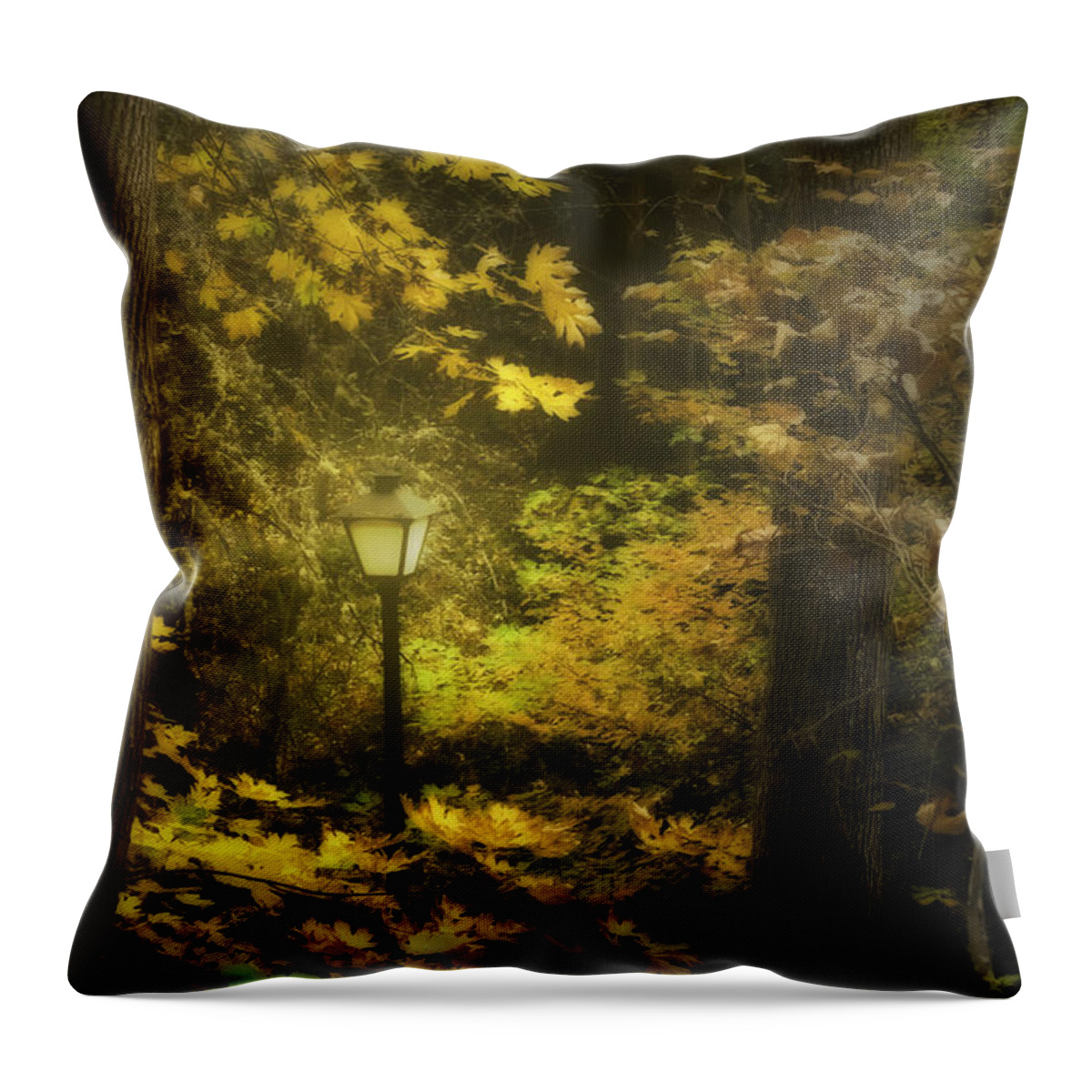 Light Throw Pillow featuring the photograph A Light In the Autumnal Forest by Diane Schuster