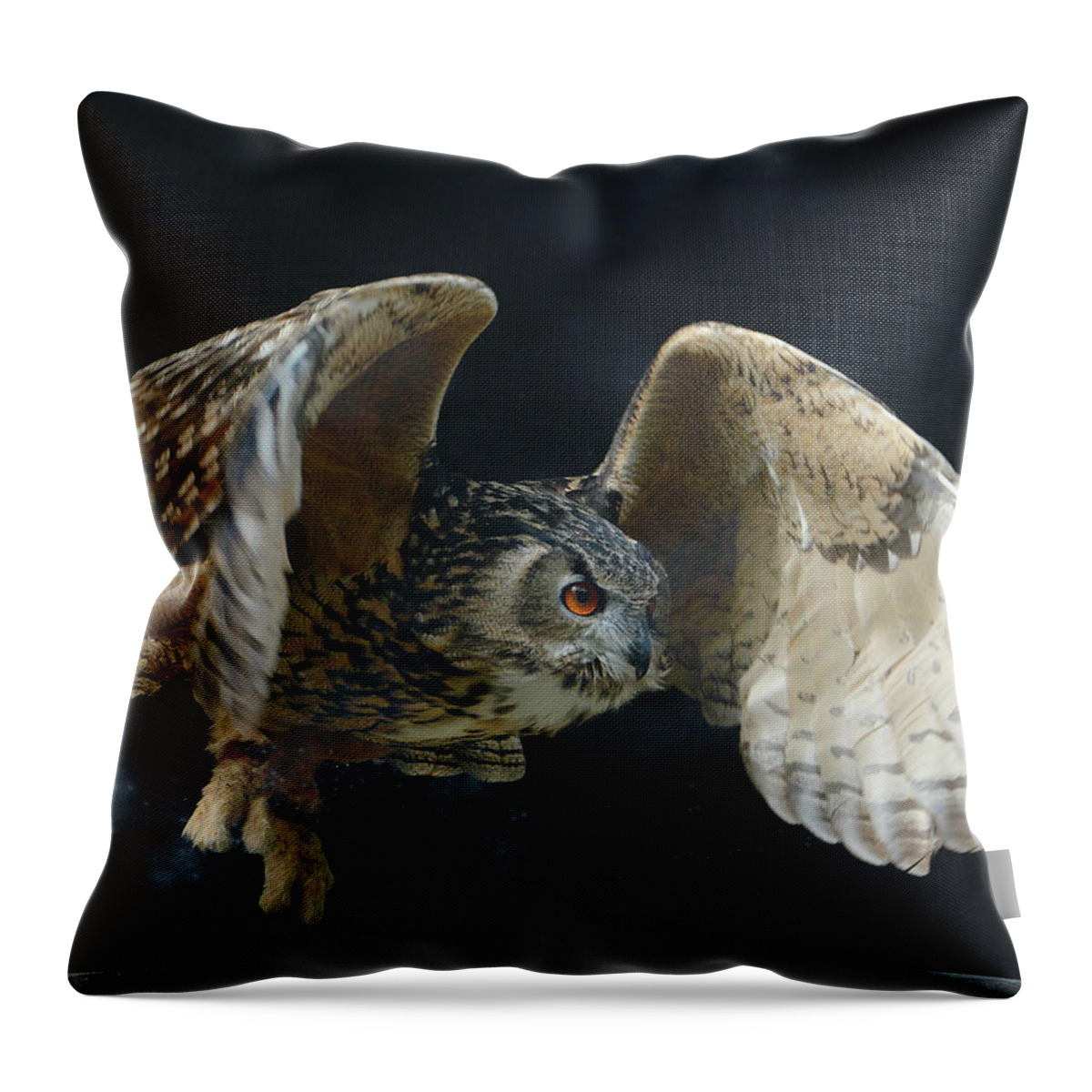 Owl Throw Pillow featuring the photograph A Little Night Magic by Fraida Gutovich