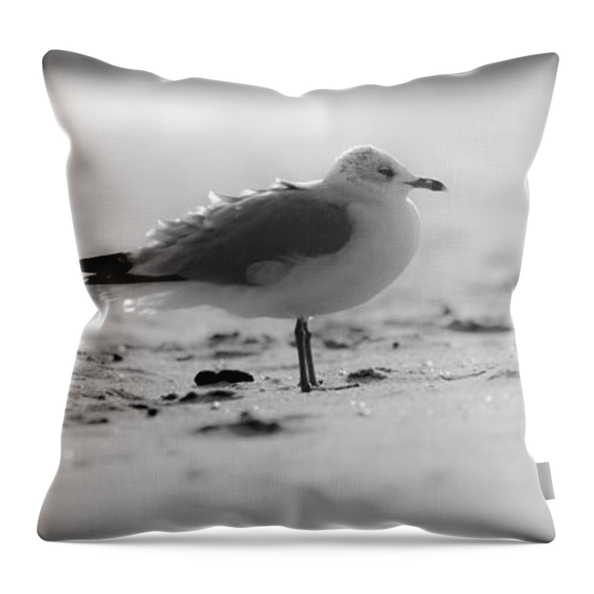 Beach Cottage Life Throw Pillow featuring the photograph A LIttle Ruffled by Mary Hahn Ward