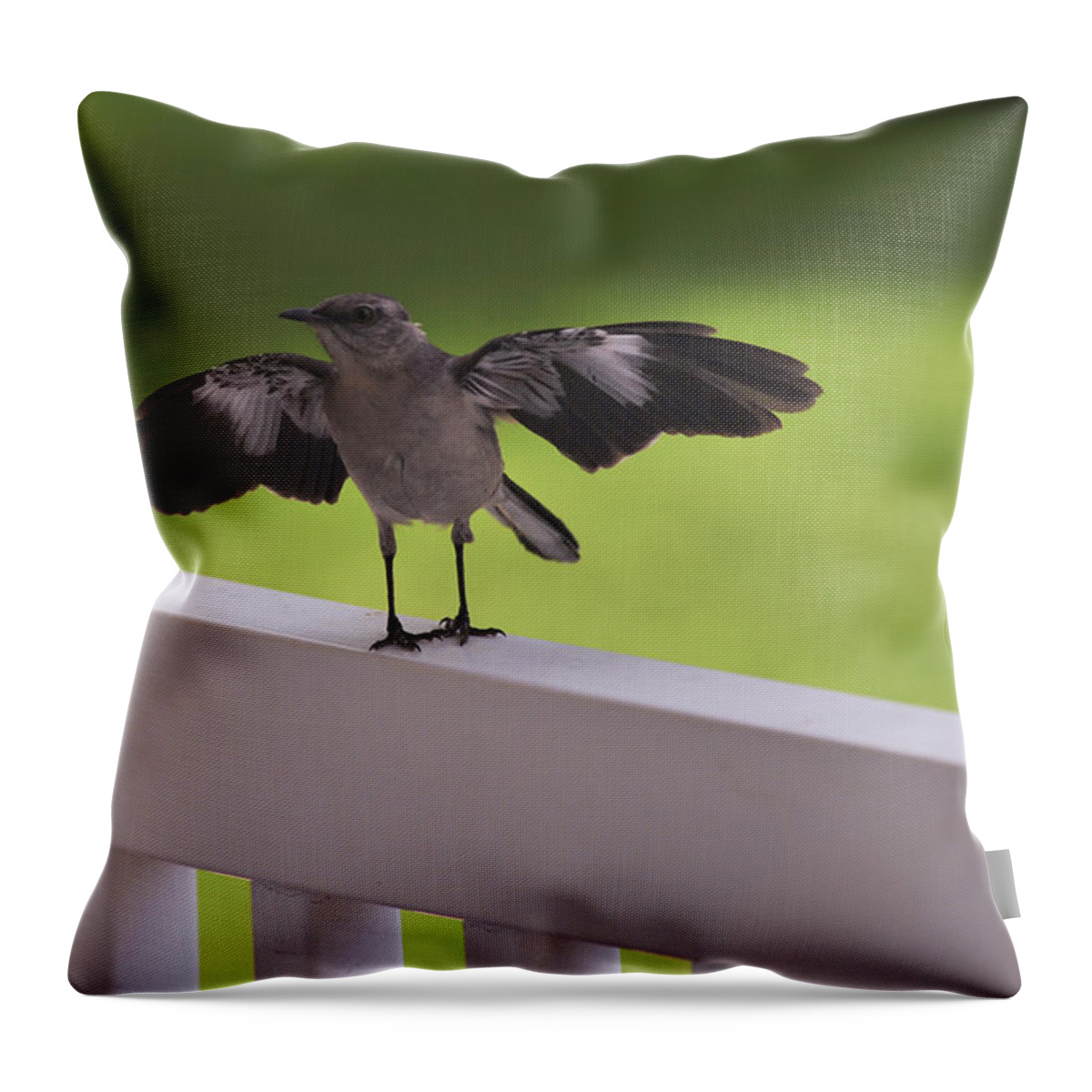 Northern Mockingbird Throw Pillow featuring the photograph A little Visitor Northern Mockingbird by Terry DeLuco