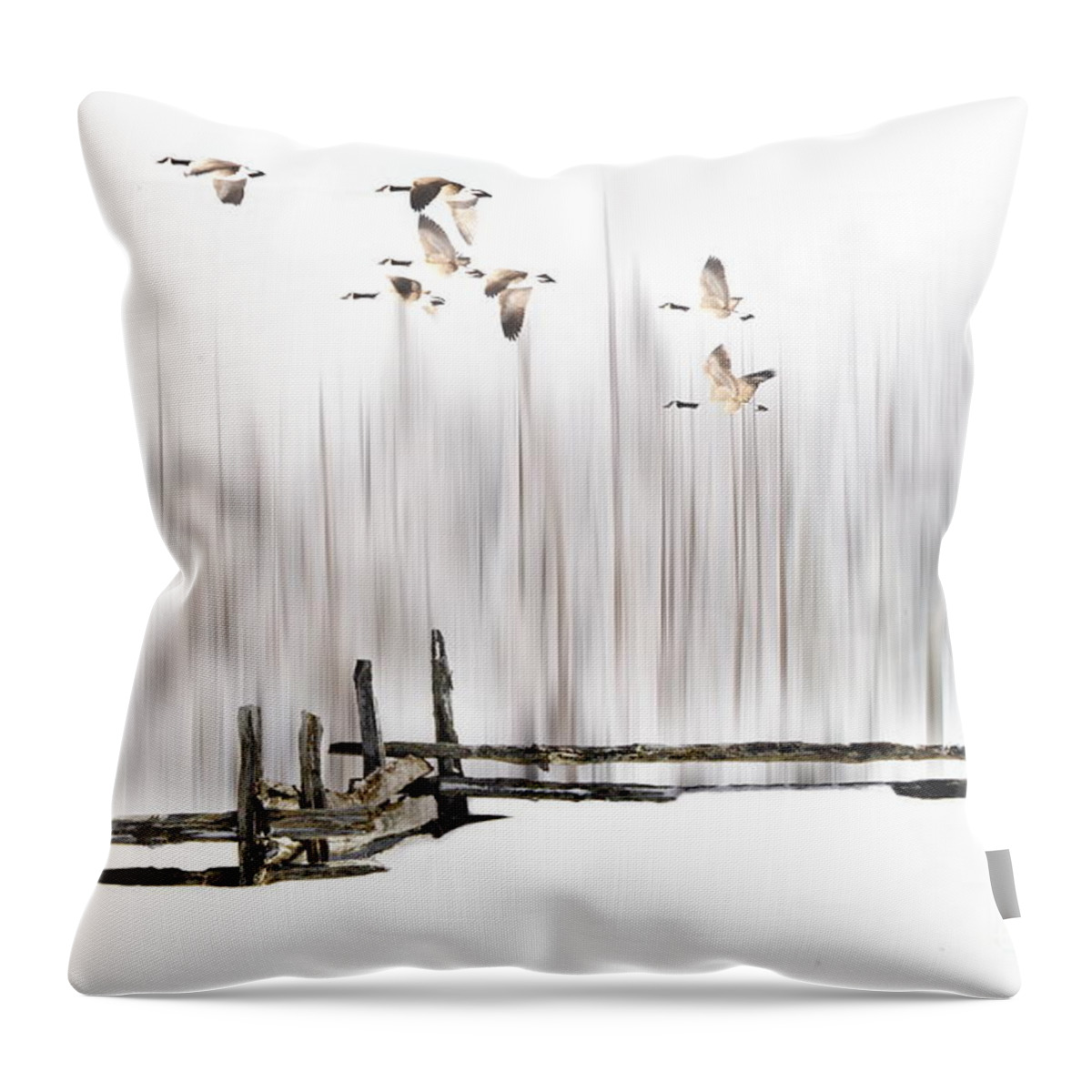 Winter Throw Pillow featuring the photograph A Little Winter Magic by Andrea Kollo