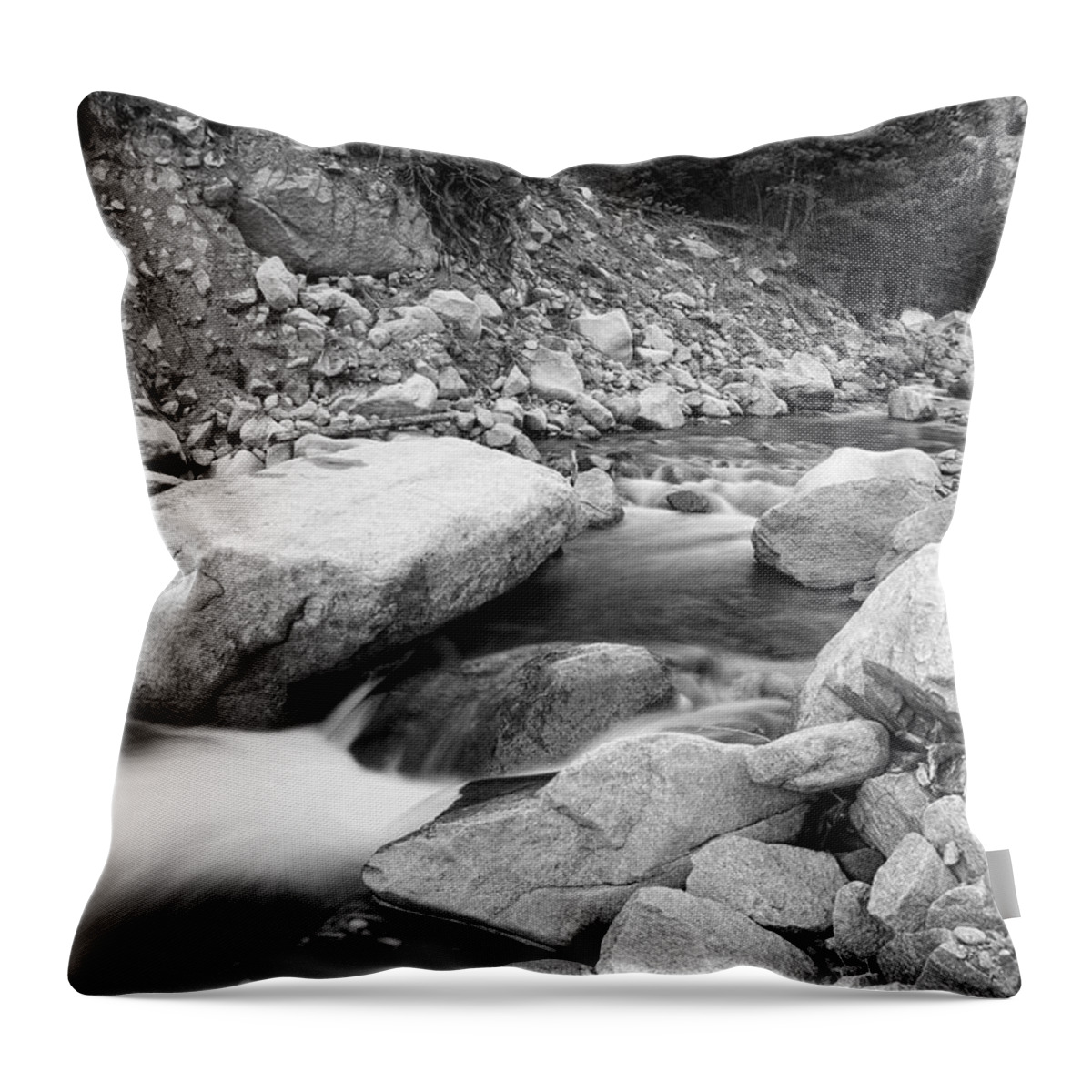 Peaceful Throw Pillow featuring the photograph A Long South St Vrain Canyon Autumn View BWSC by James BO Insogna