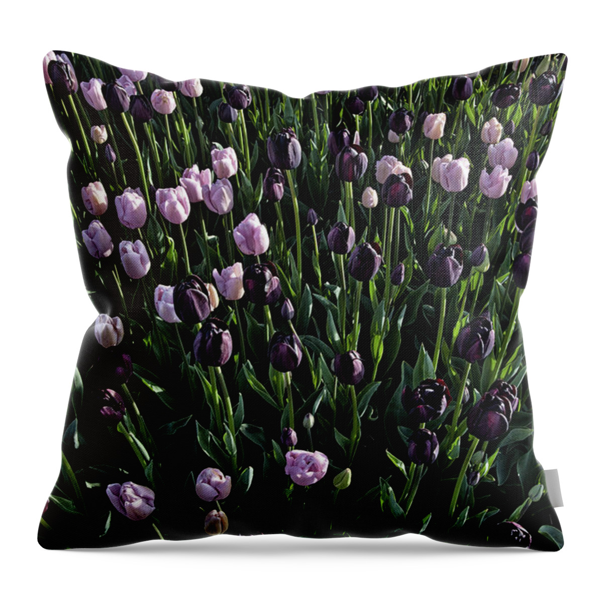 Tulip Throw Pillow featuring the photograph A Loverly Bunch by Monte Arnold