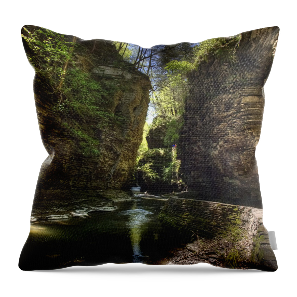 Watkins Glen Throw Pillow featuring the photograph A Moment of Stillness by Joshua House