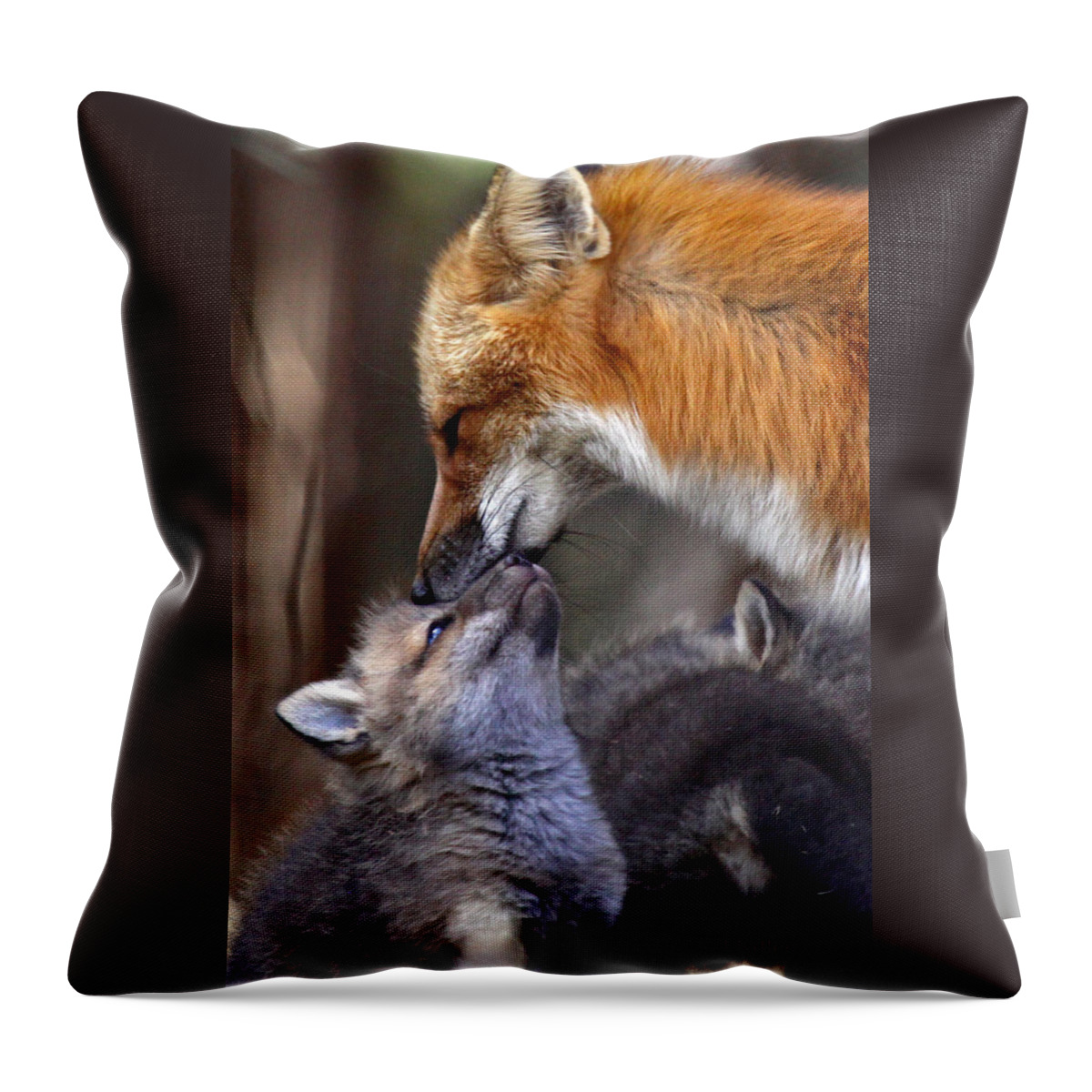 Maine Wildlife Throw Pillow featuring the photograph A Mothers Love by Sharon Fiedler