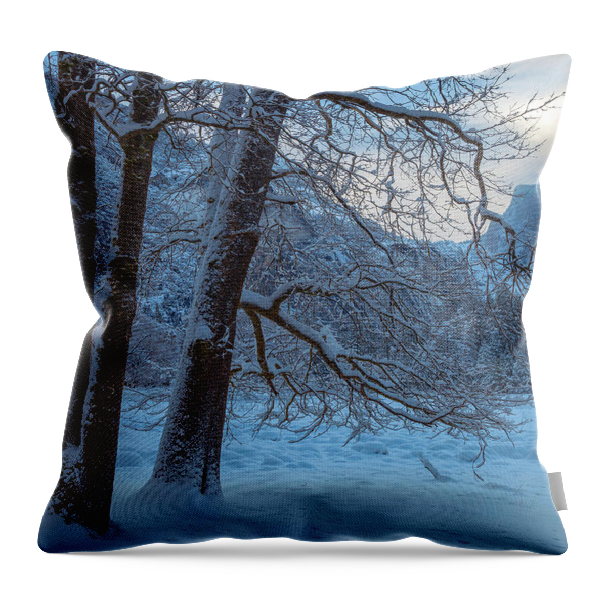 Landscape Throw Pillow featuring the photograph A New Dawn by Jonathan Nguyen