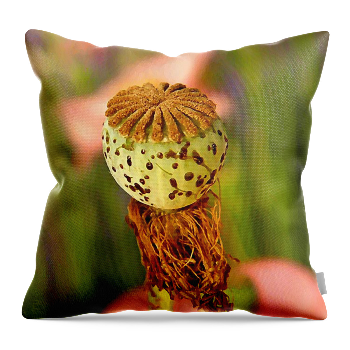  Throw Pillow featuring the photograph A New Purpose by Chris Berry