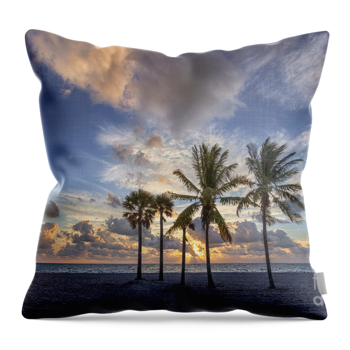 Key Biscayne Throw Pillow featuring the photograph A New Tomorrow by Evelina Kremsdorf