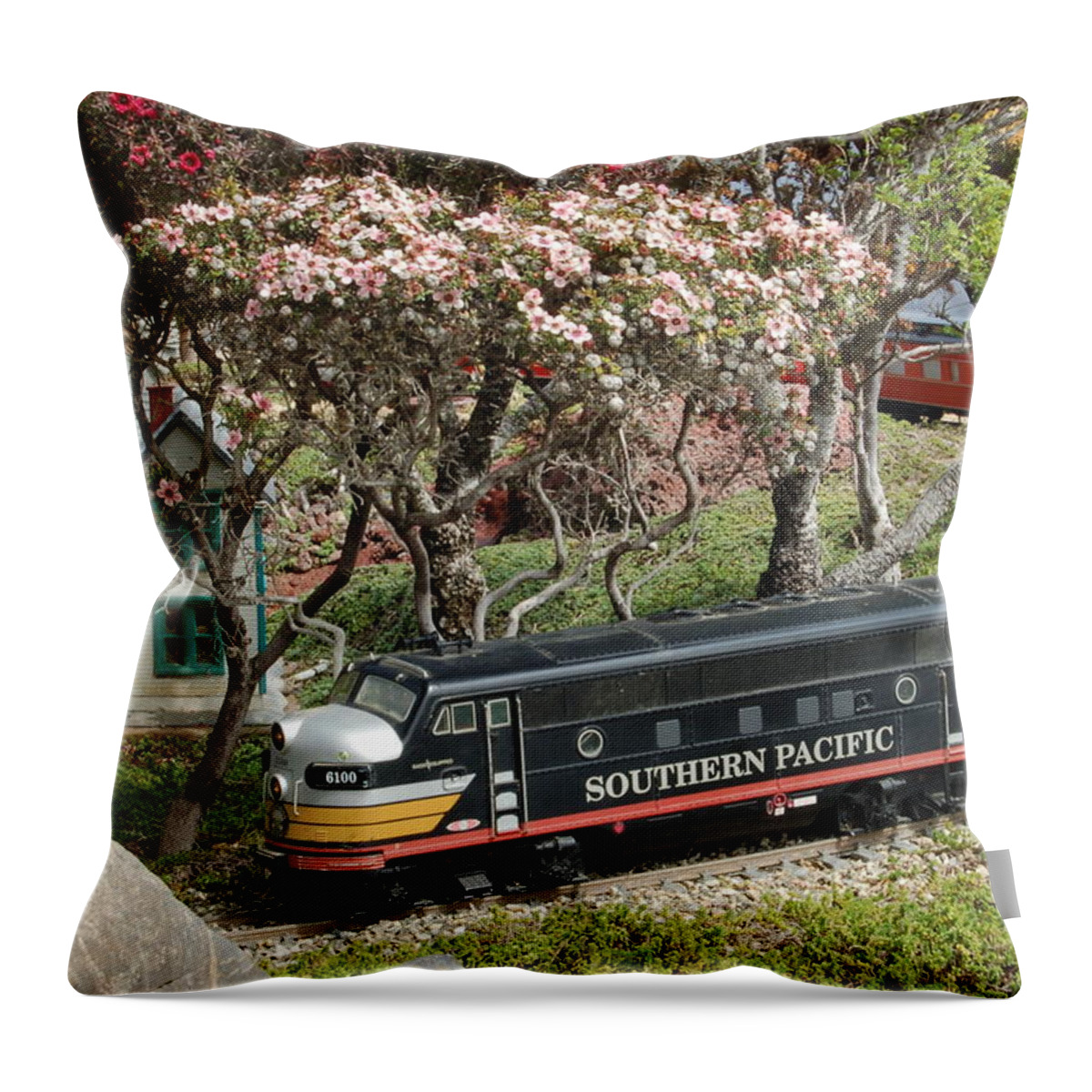 Linda Brody Throw Pillow featuring the photograph A Passenger Train Passes by Farm House by Linda Brody
