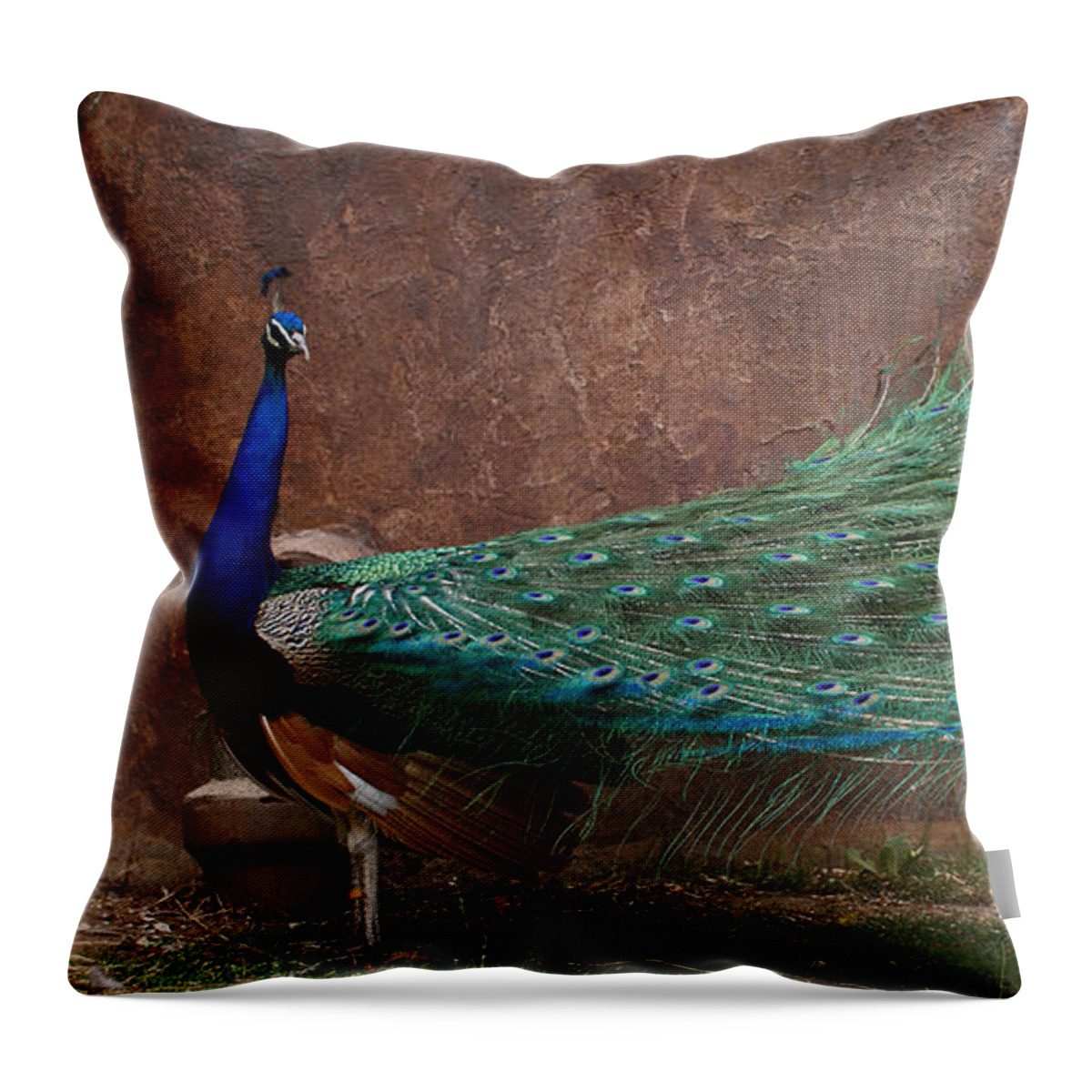 Bird Throw Pillow featuring the photograph A Peacock by Ernest Echols