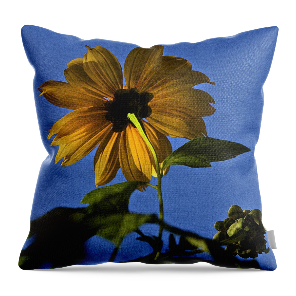 Landscape Art Throw Pillow featuring the photograph A Perfect Bloom by Kandy Hurley