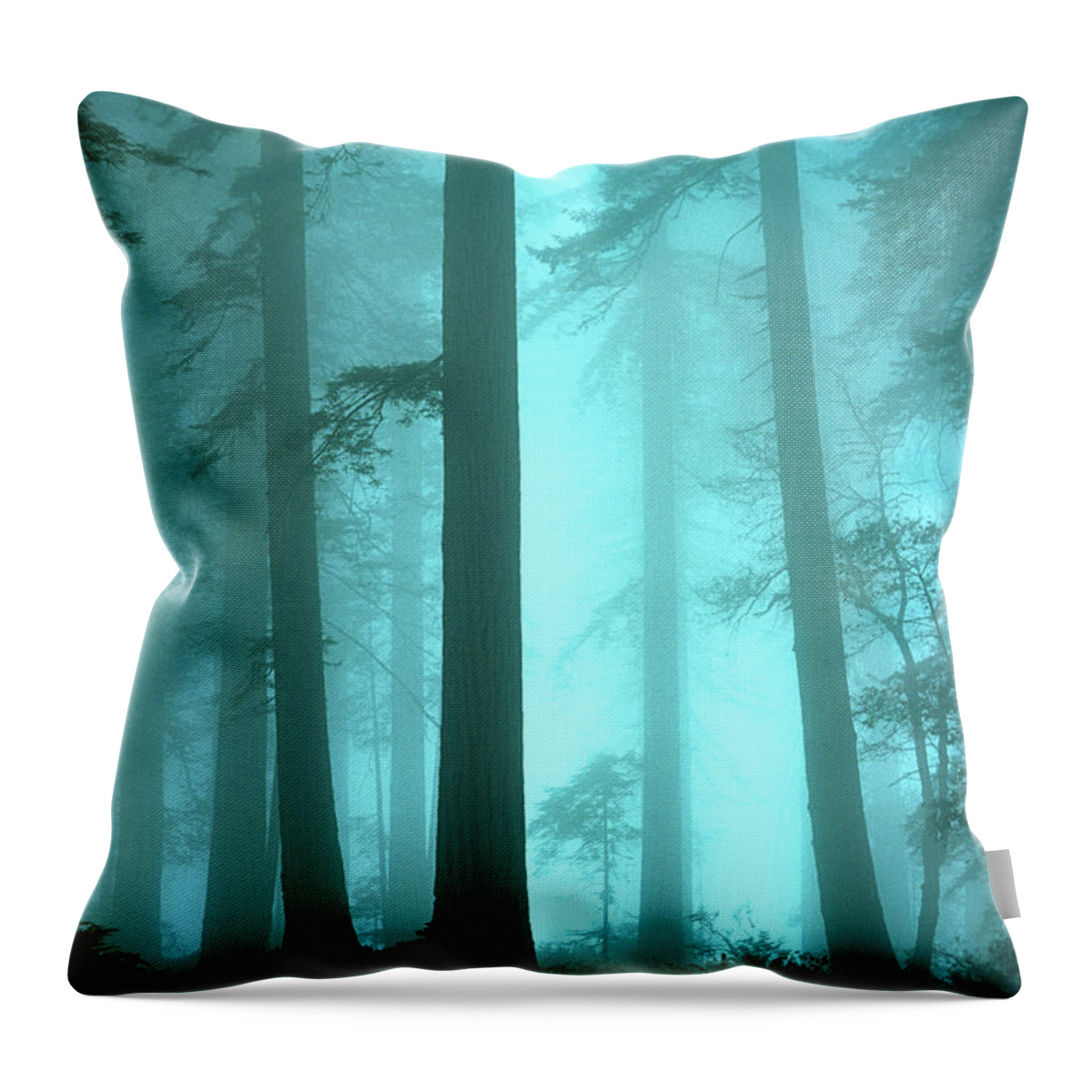 Redwoods Throw Pillow featuring the photograph A Place Of Awe by Bob Christopher