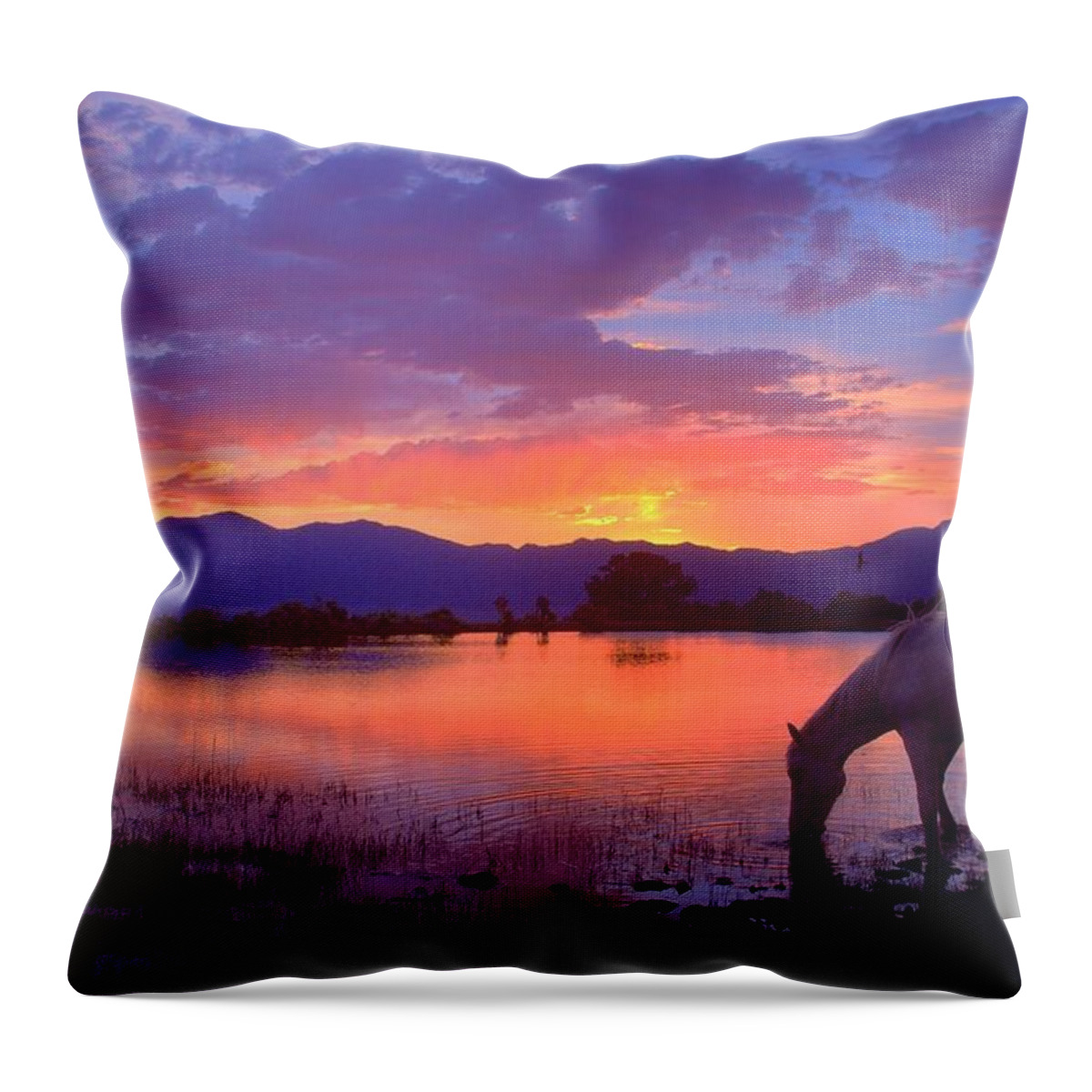 Wild Horse Throw Pillow featuring the photograph A Place To Be by Jeanne Bencich-Nations