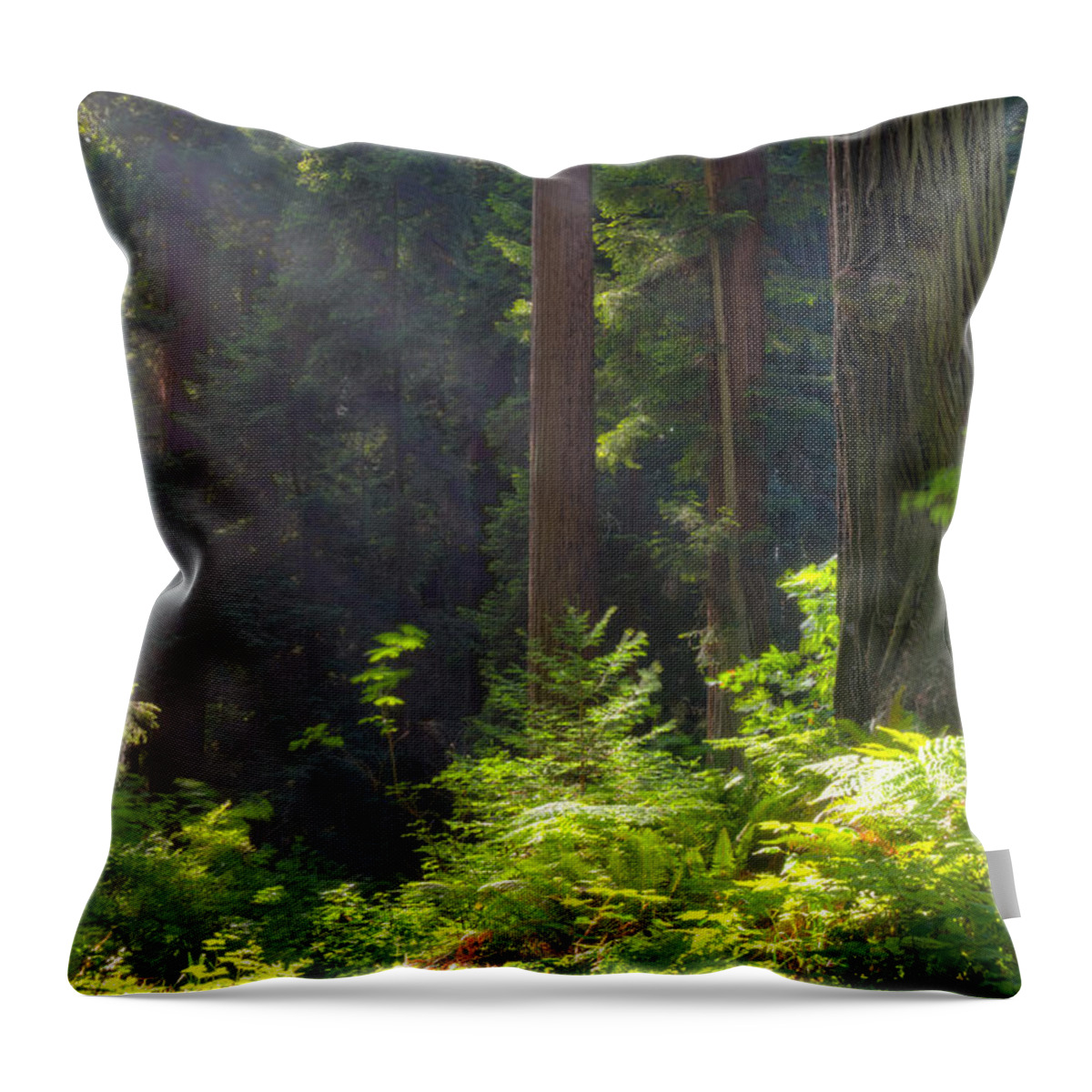 Trees Throw Pillow featuring the photograph A Place To Rest by Mark Alder