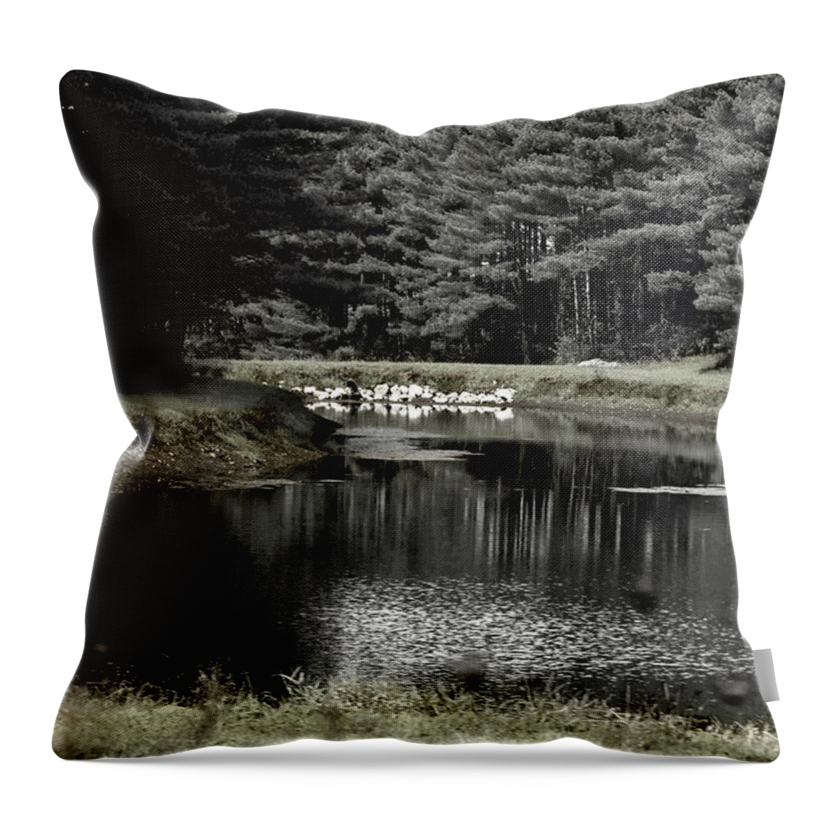 Pond Throw Pillow featuring the photograph A Pond by David Yocum