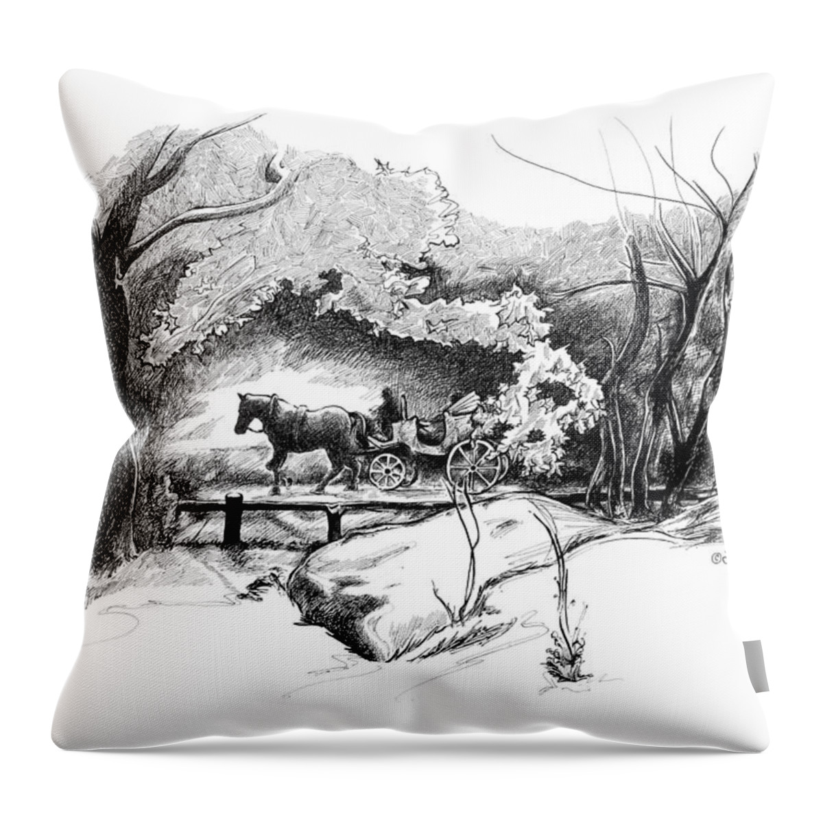 Liz Viztes Throw Pillow featuring the drawing A Ride Through Central Park by Liz Viztes
