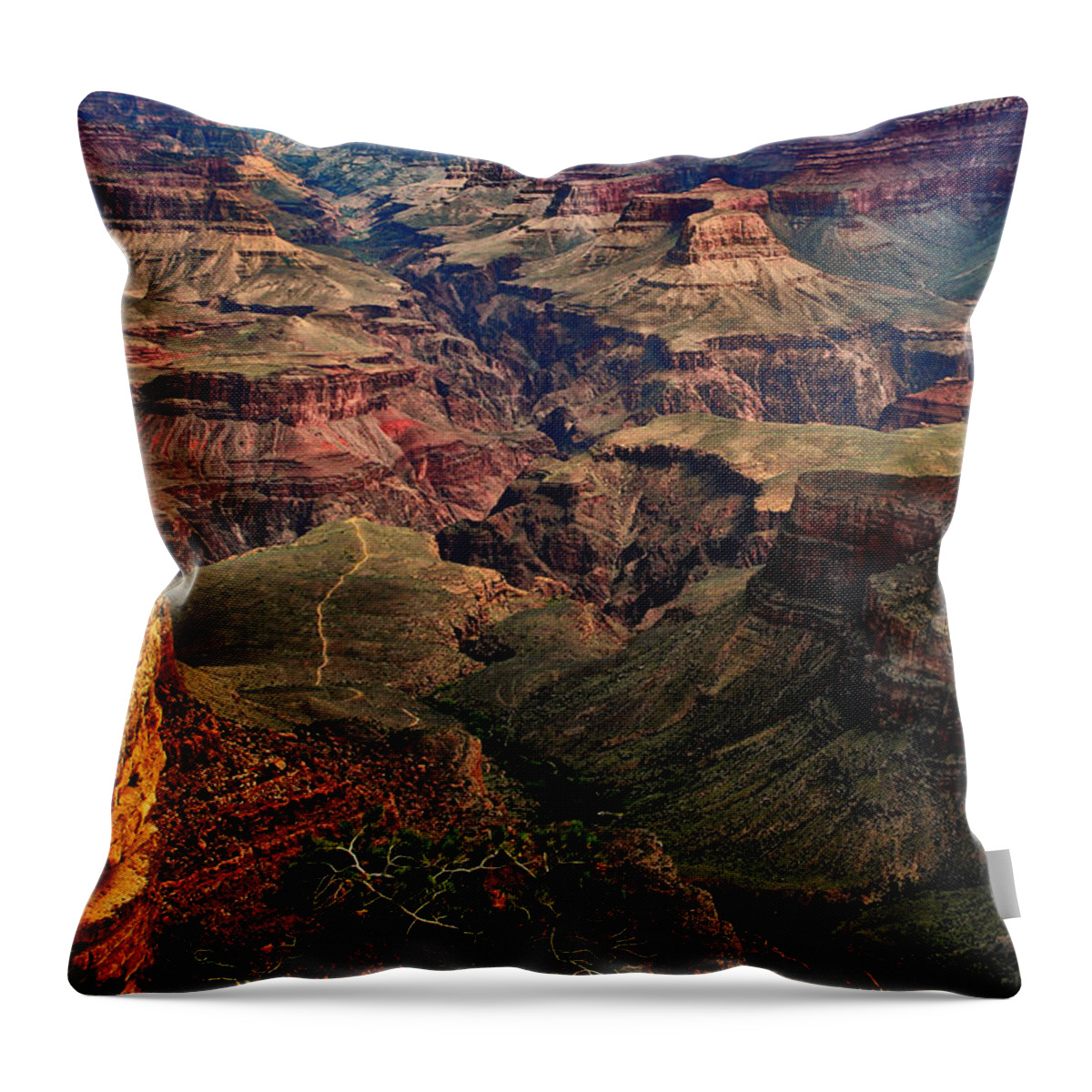 Tom Prendergast Throw Pillow featuring the photograph A River Runs Through It-The Grand Canyon by Tom Prendergast
