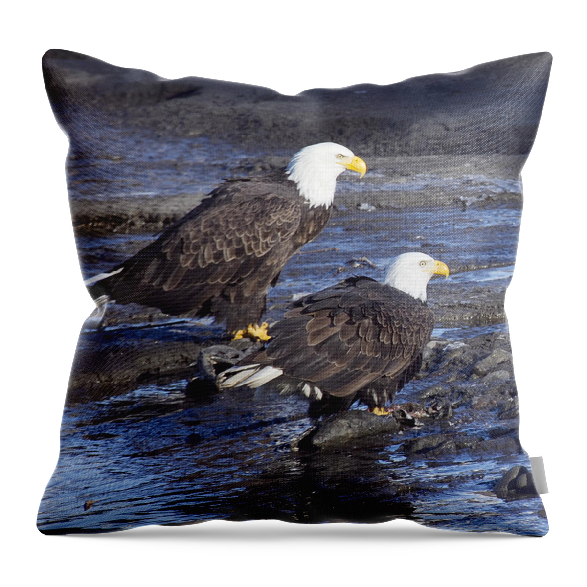 Bald Eagles Throw Pillow featuring the photograph Salmons for both of us by Elvira Butler