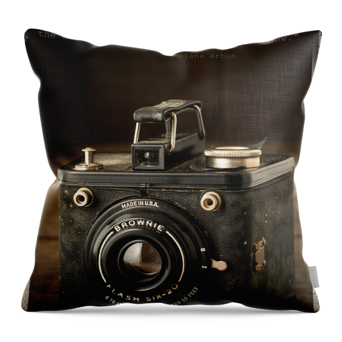 Camera Throw Pillow featuring the photograph A Secret About a Secret by Edward Fielding