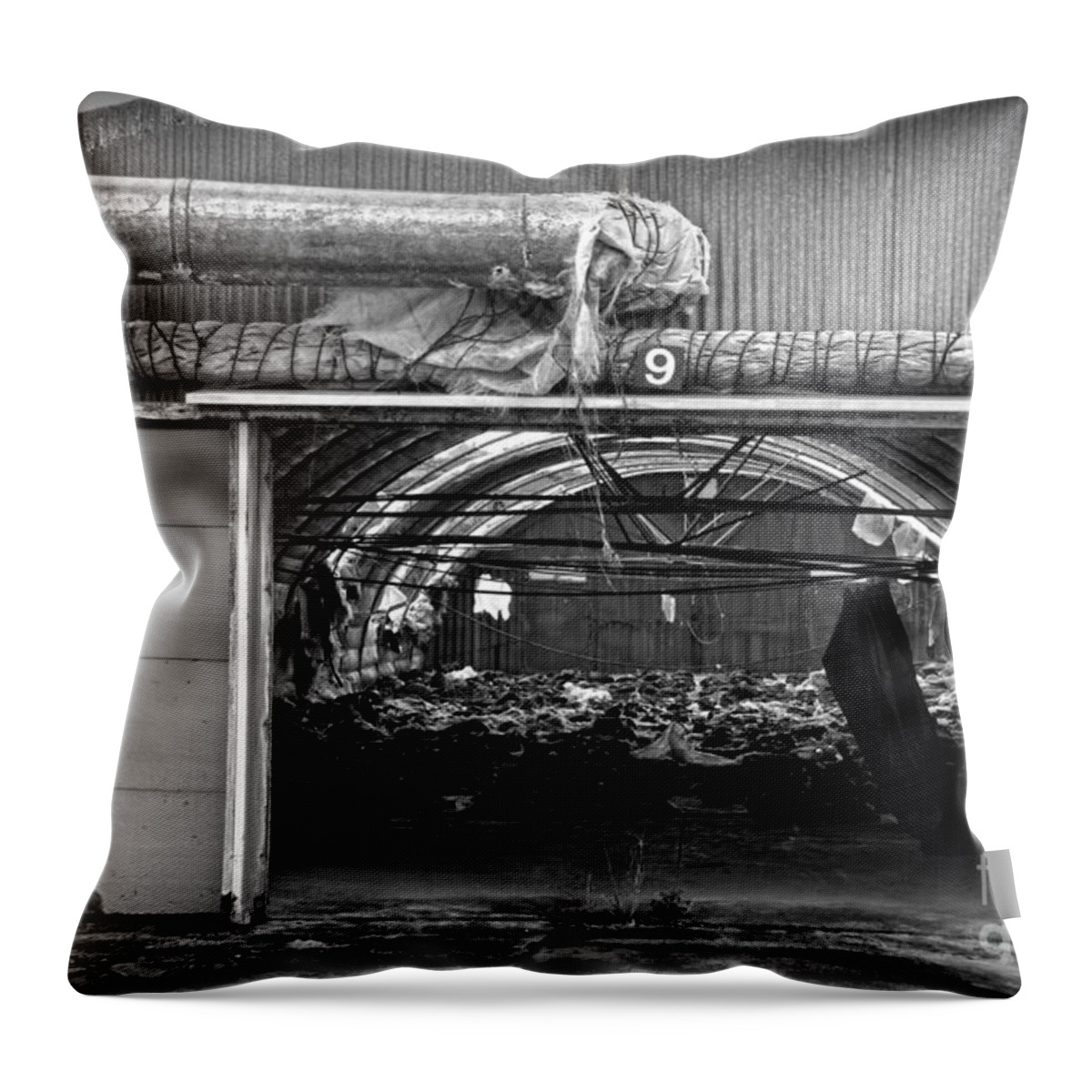 Shed Throw Pillow featuring the photograph A shed in an abandoned mushroom farm BW by RicardMN Photography