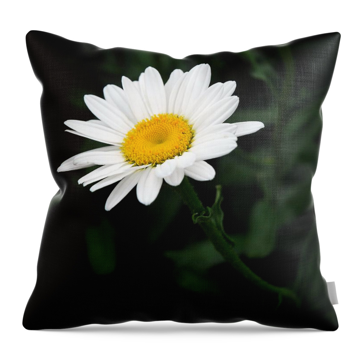 Flower Throw Pillow featuring the photograph A Simple Act of Kindness by Lena Wilhite