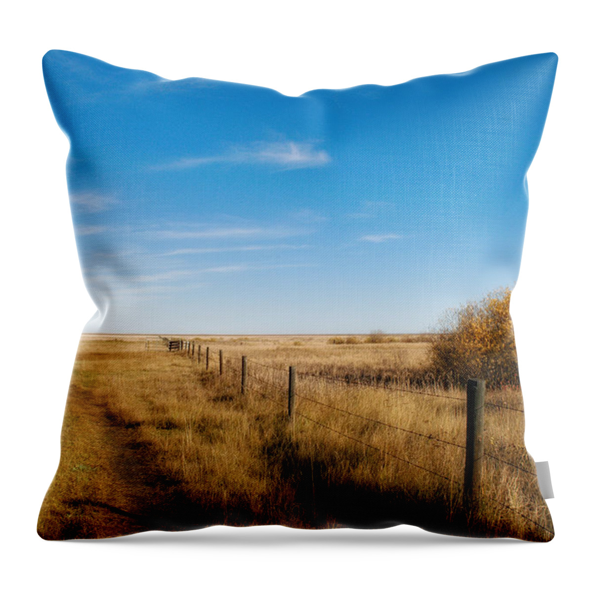 Rural Throw Pillow featuring the photograph A Simple Fence by Allan Van Gasbeck